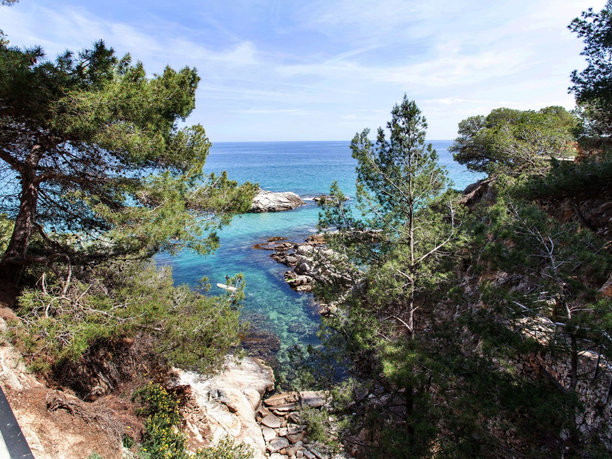 View