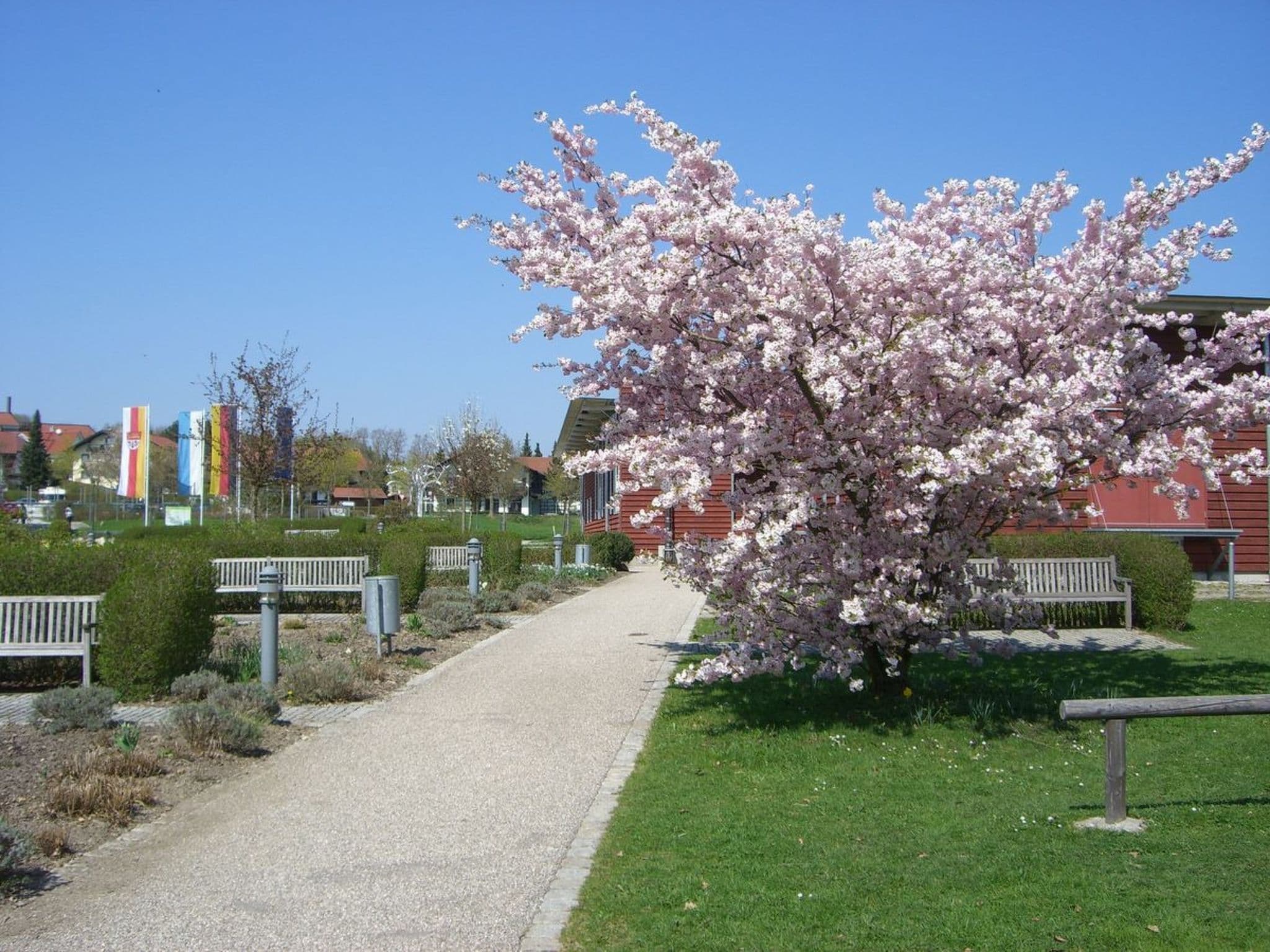 Gallery Image 14