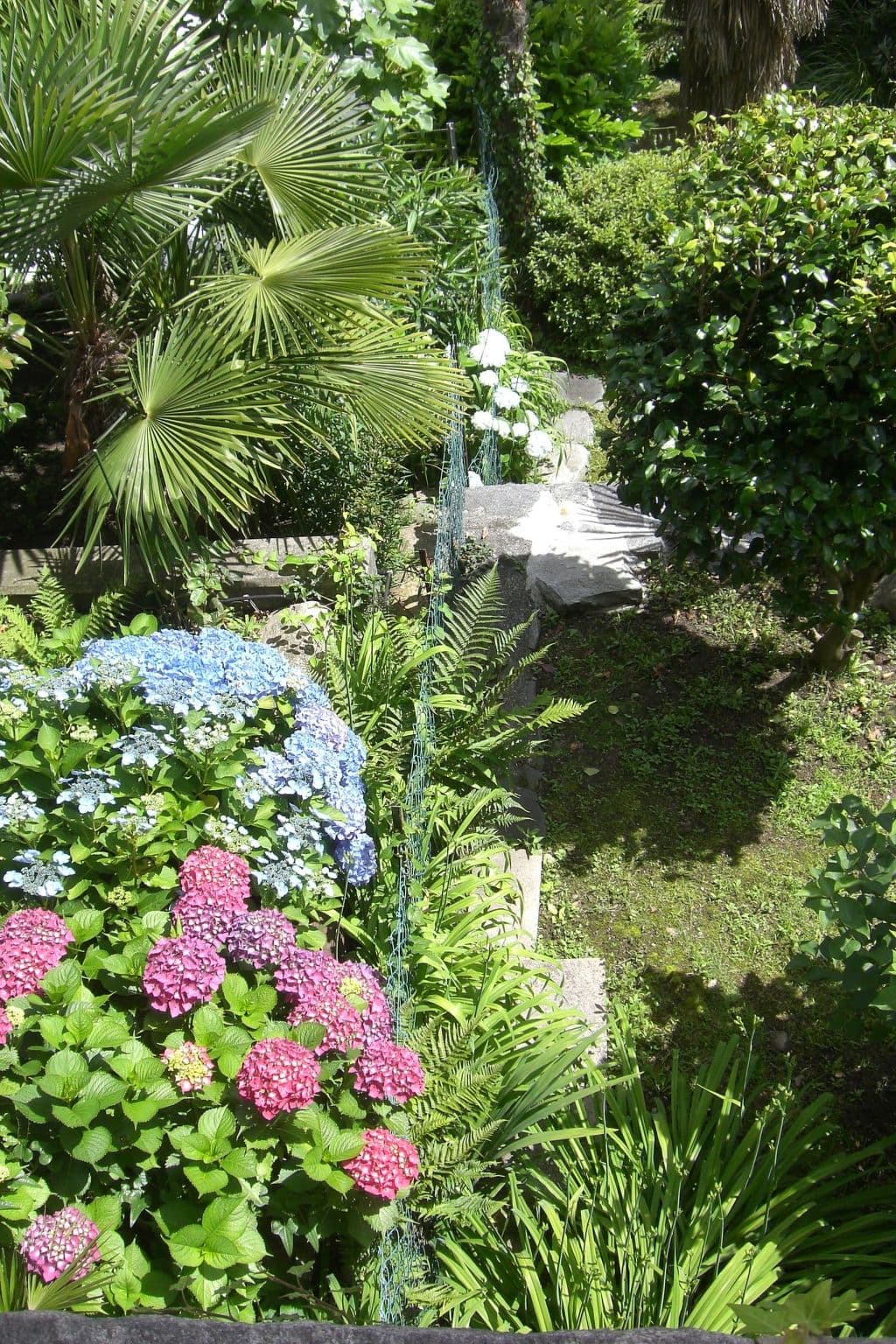 Gallery Image 14