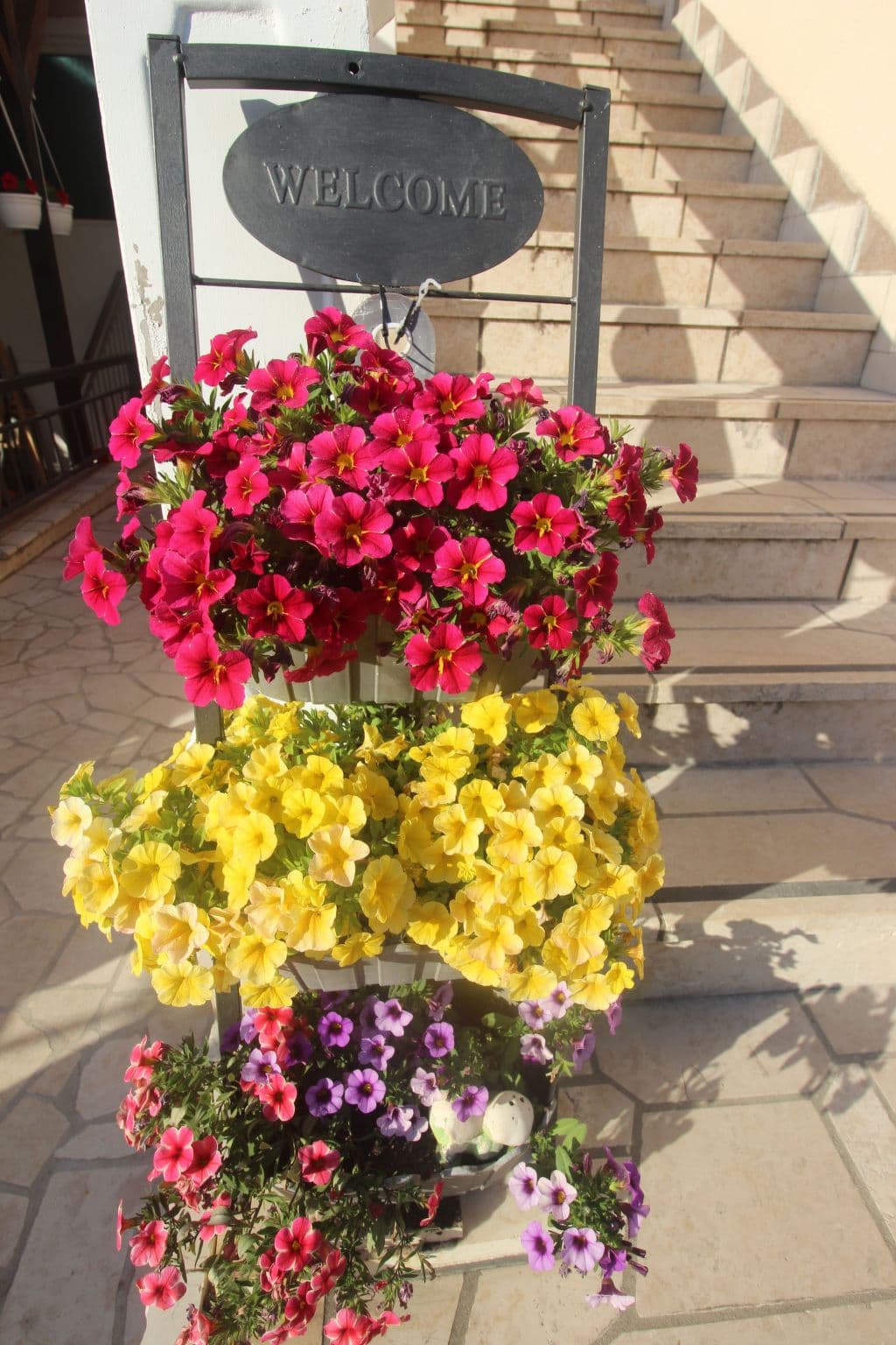 Gallery Image 13