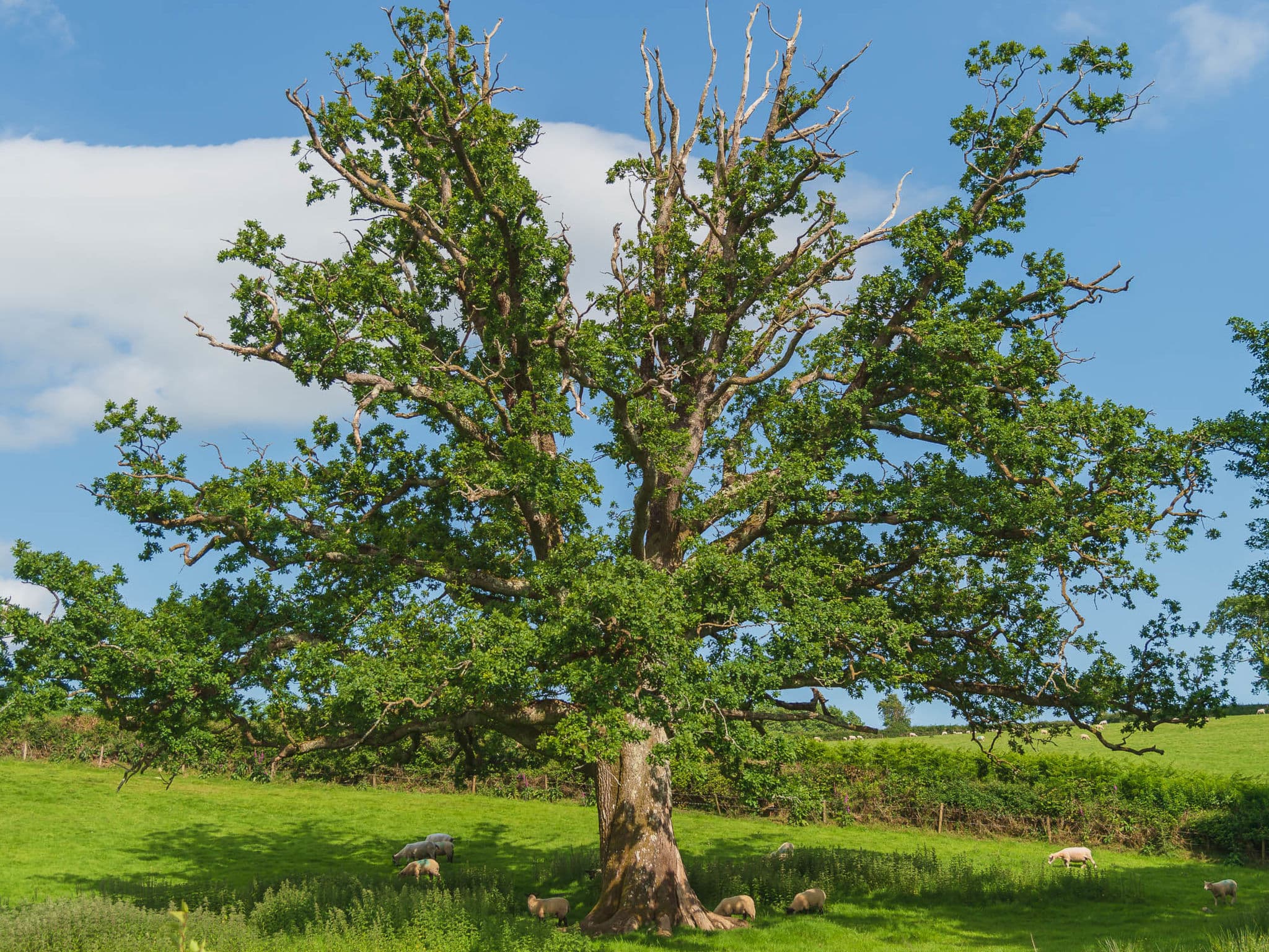 Place