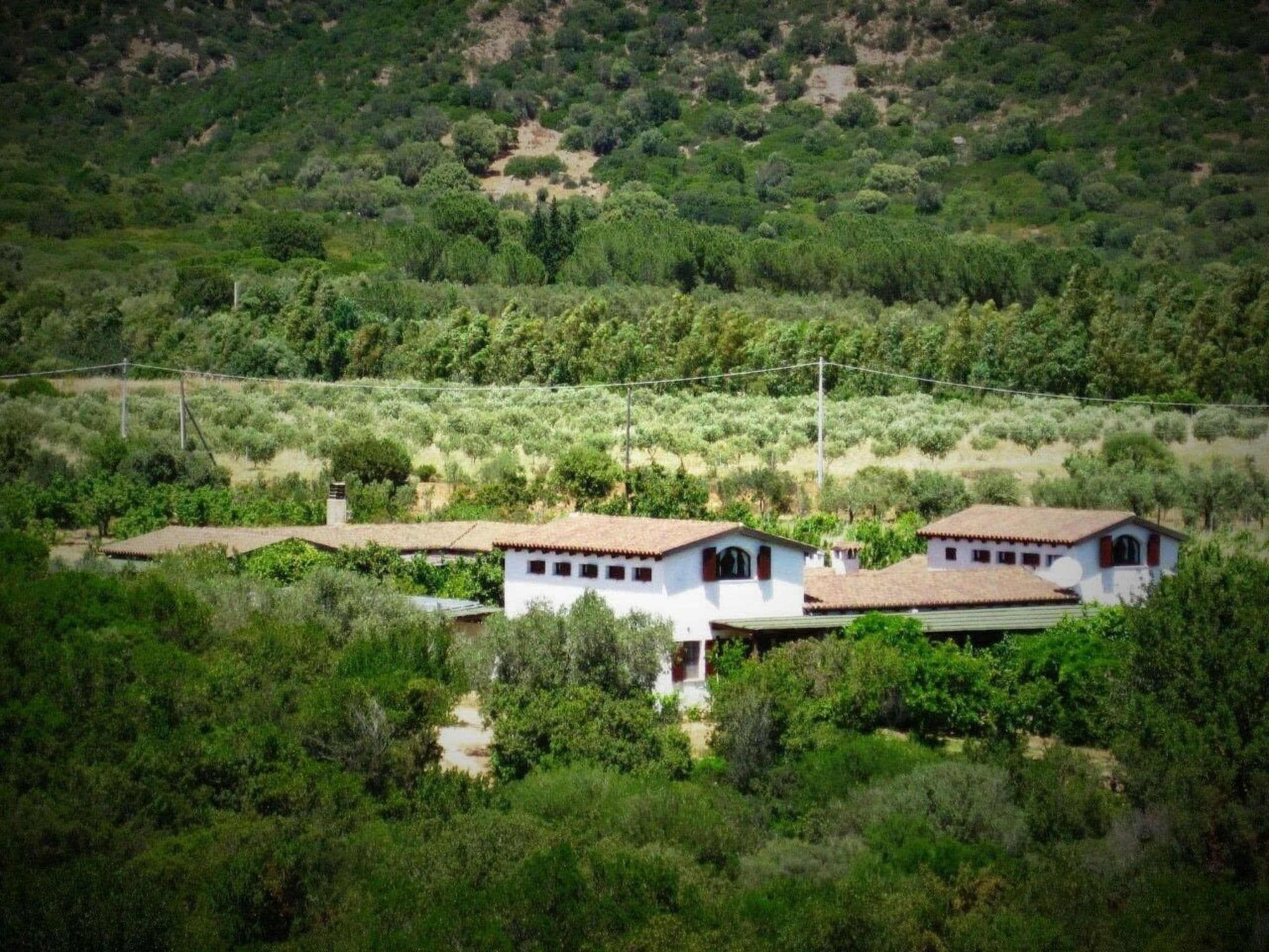 Gallery Image 9