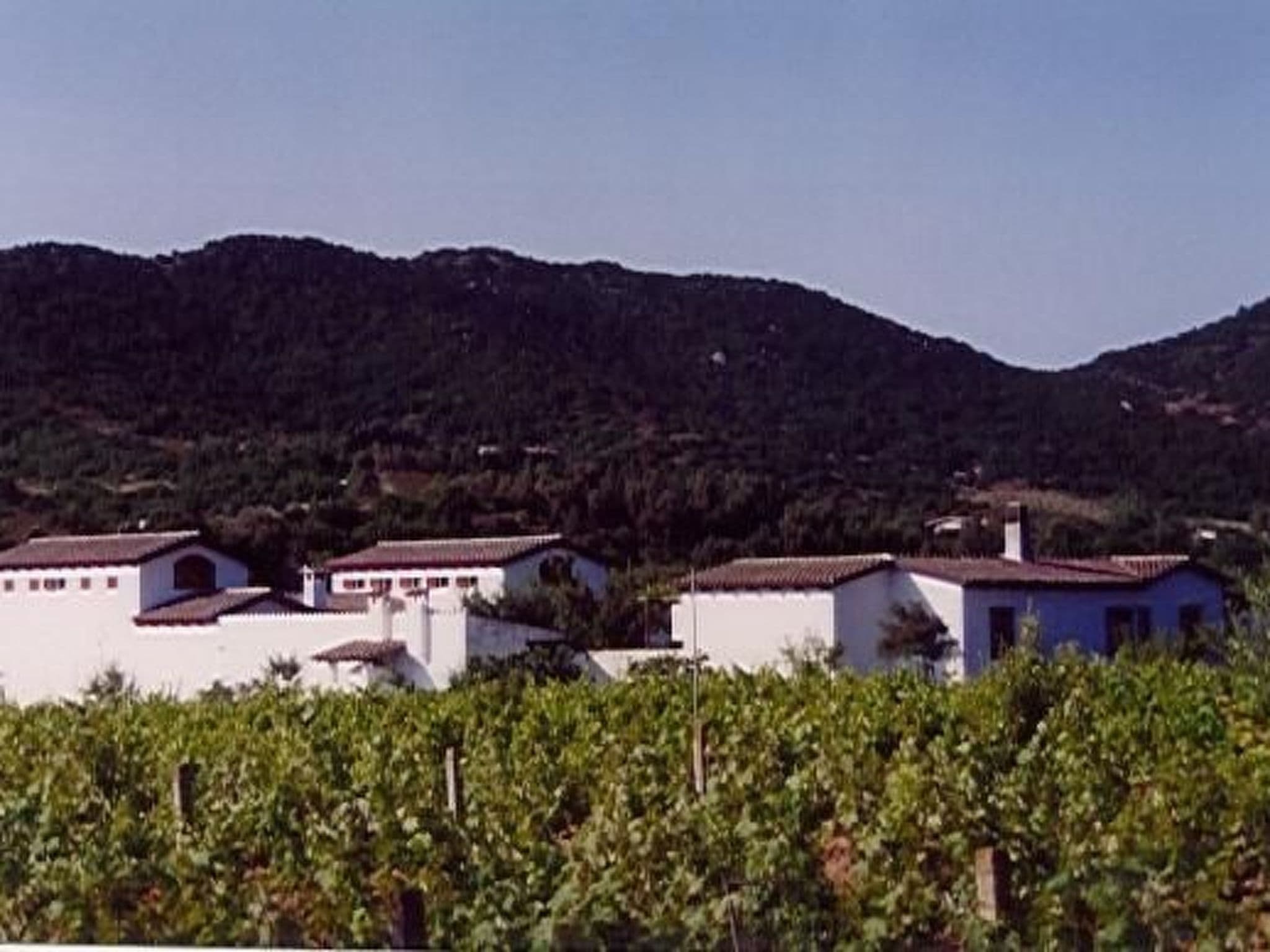 Gallery Image 24