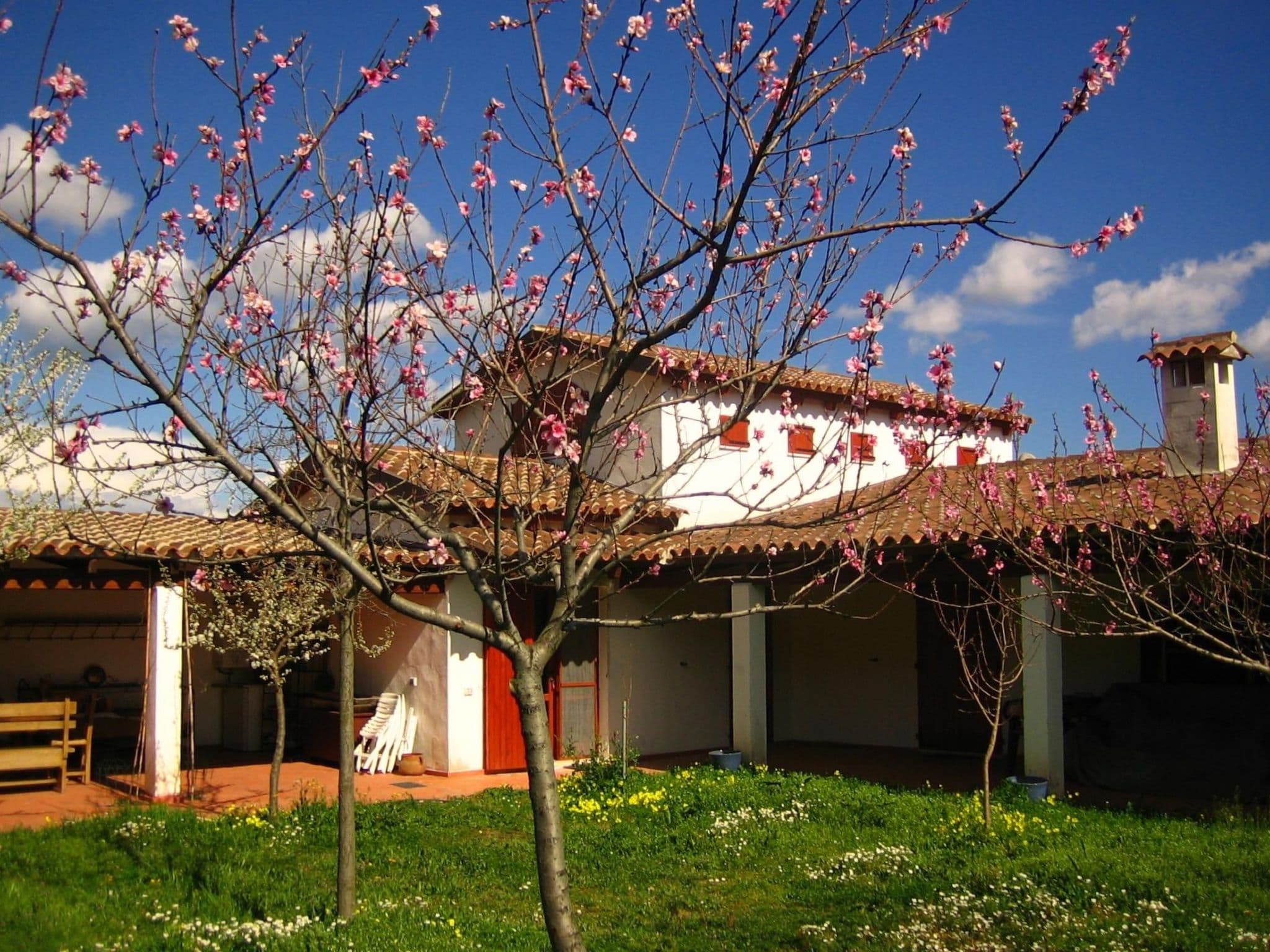 Gallery Image 26