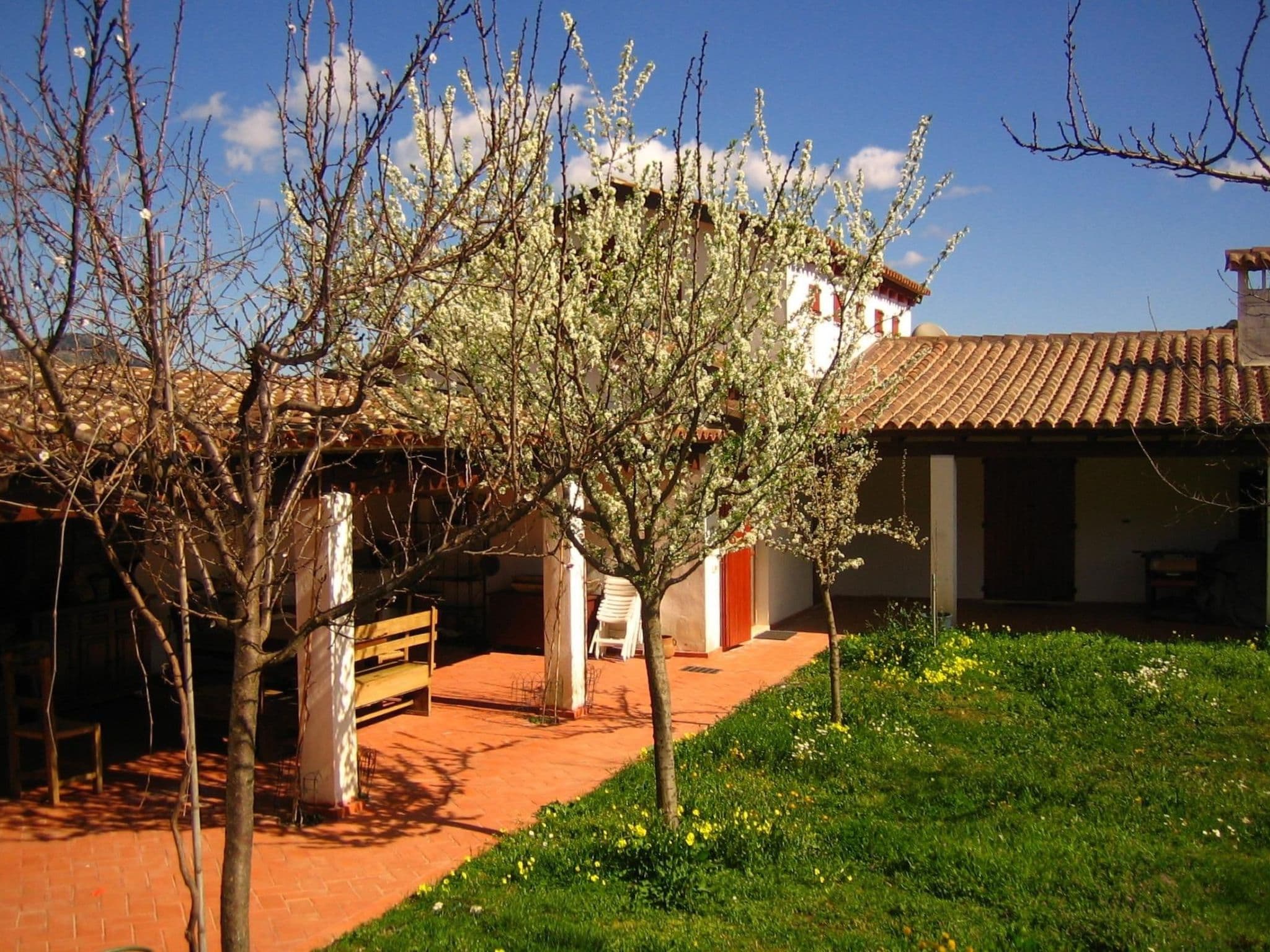 Gallery Image 27