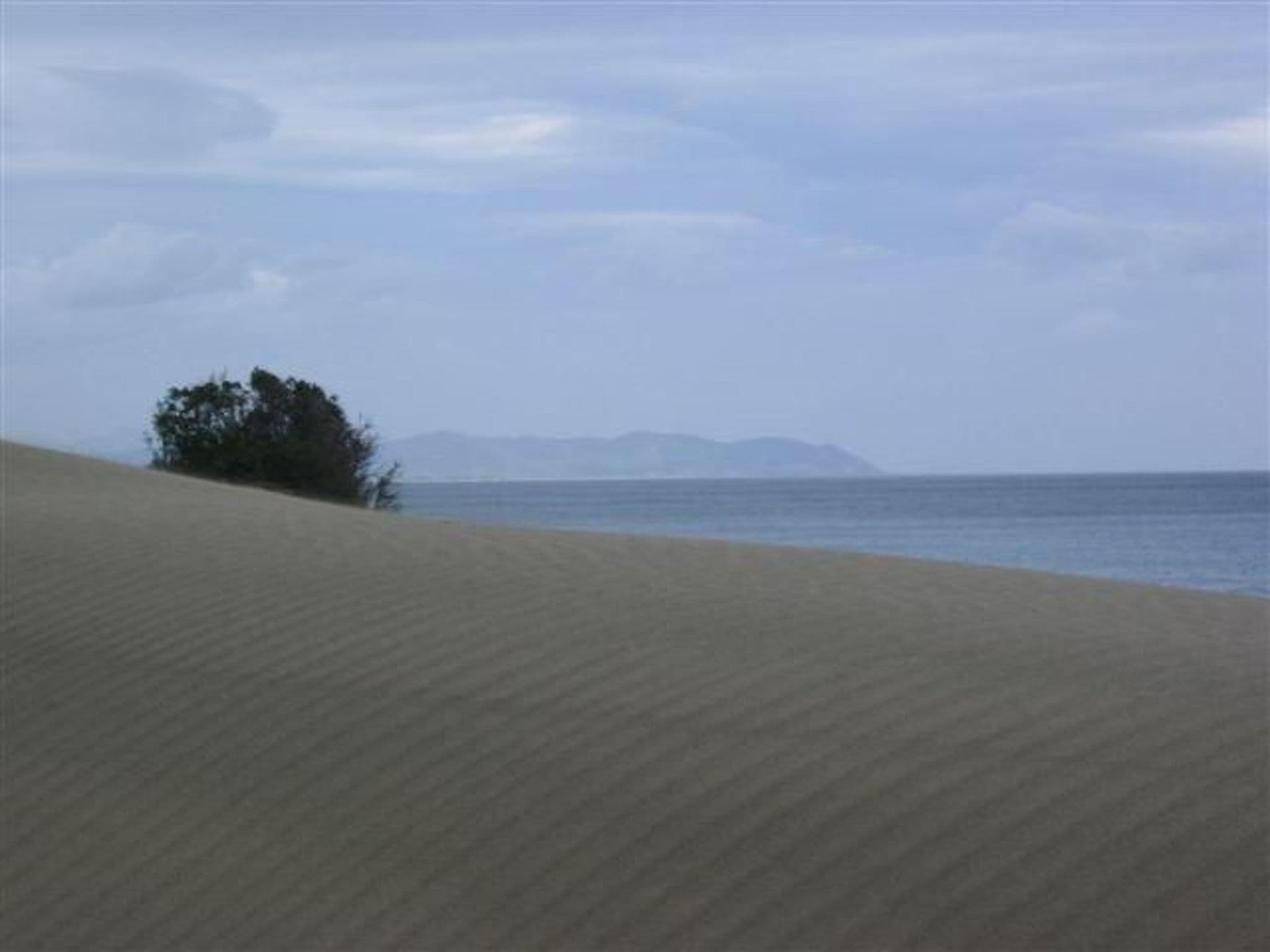 Gallery Image 37