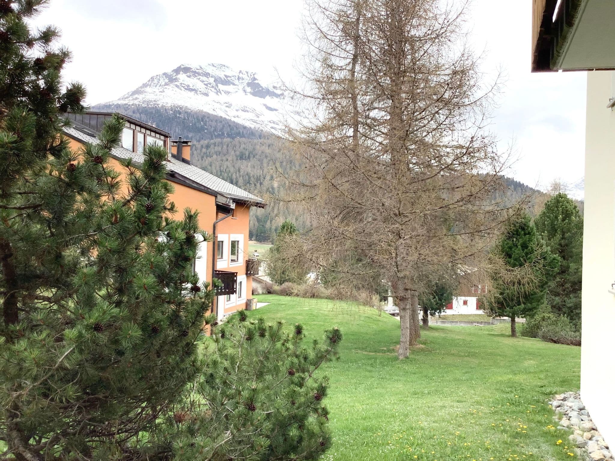Gallery Image 39