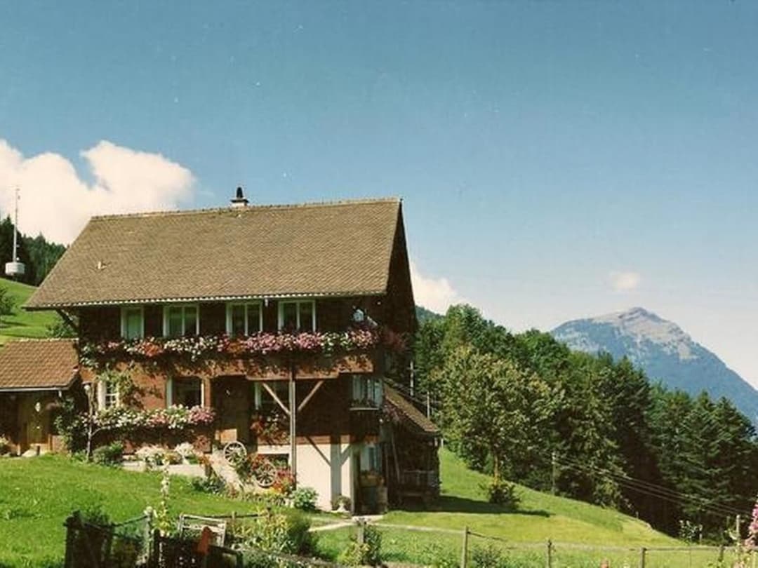 Large Image