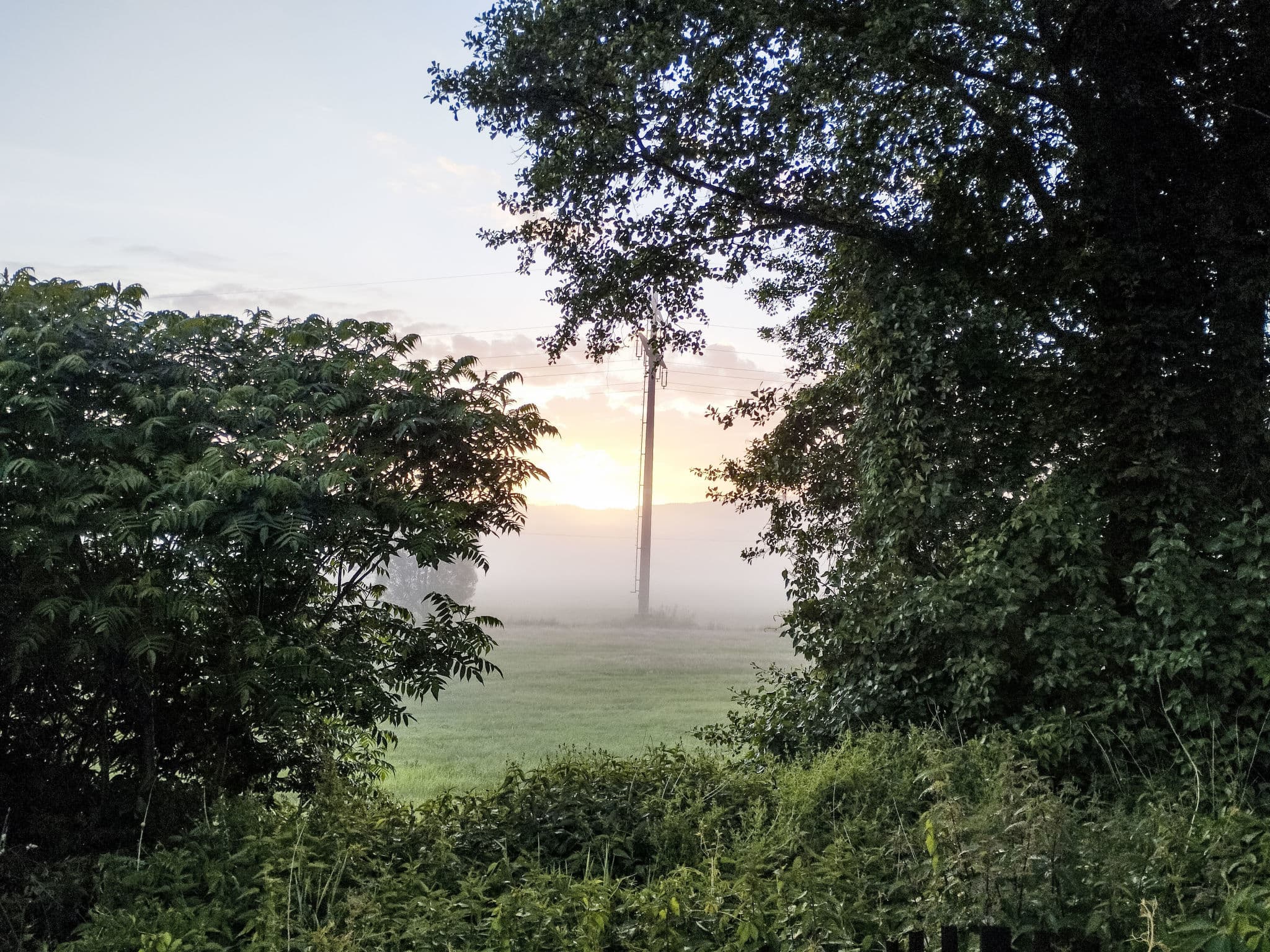View