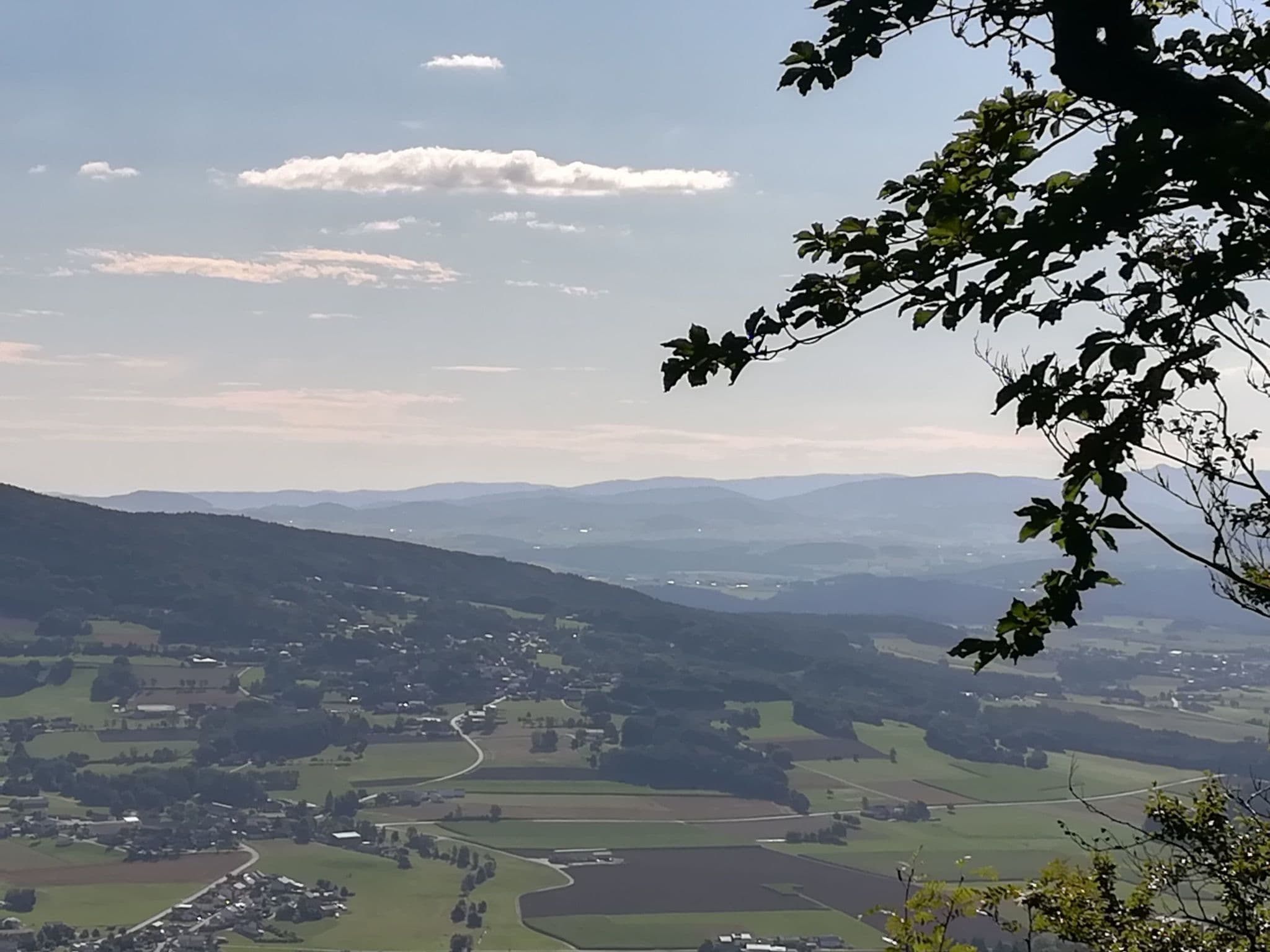 View