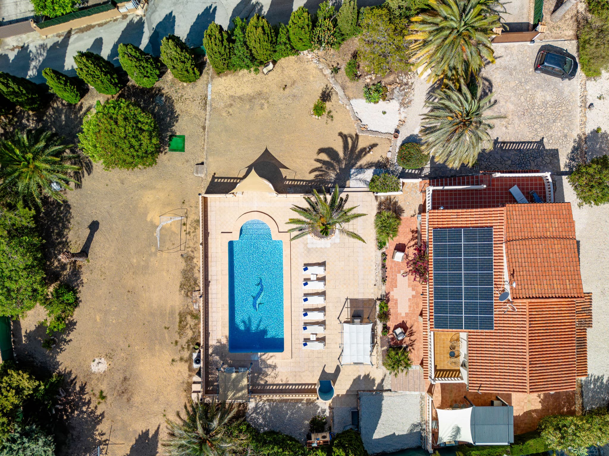 Aerial photography