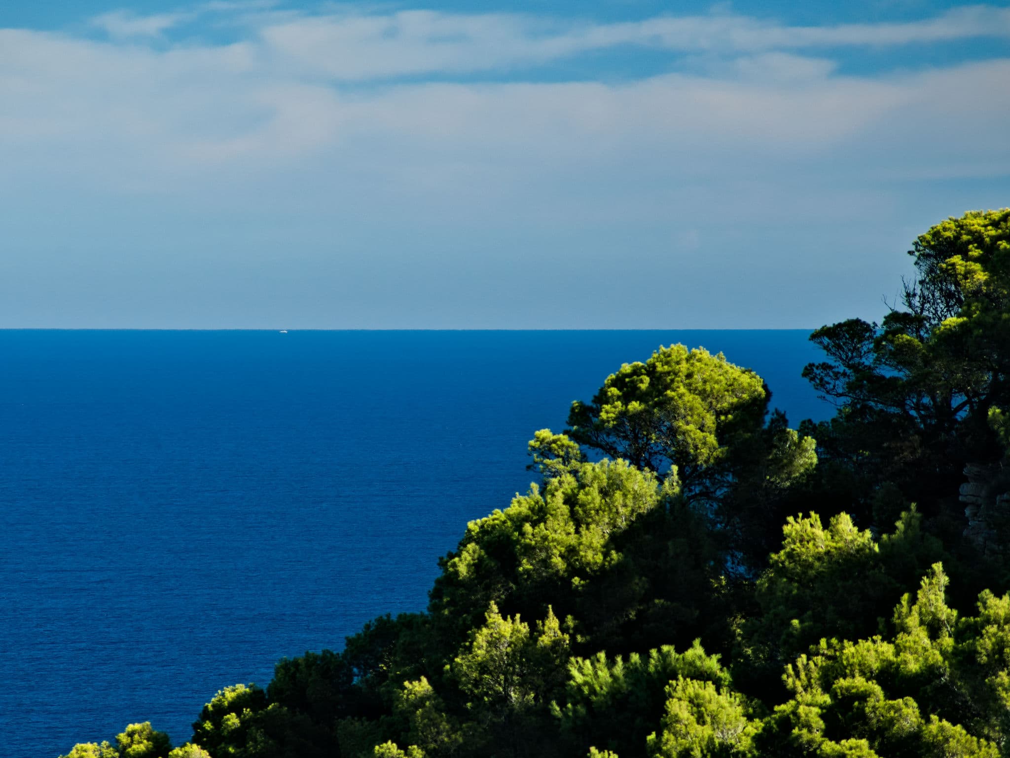 View