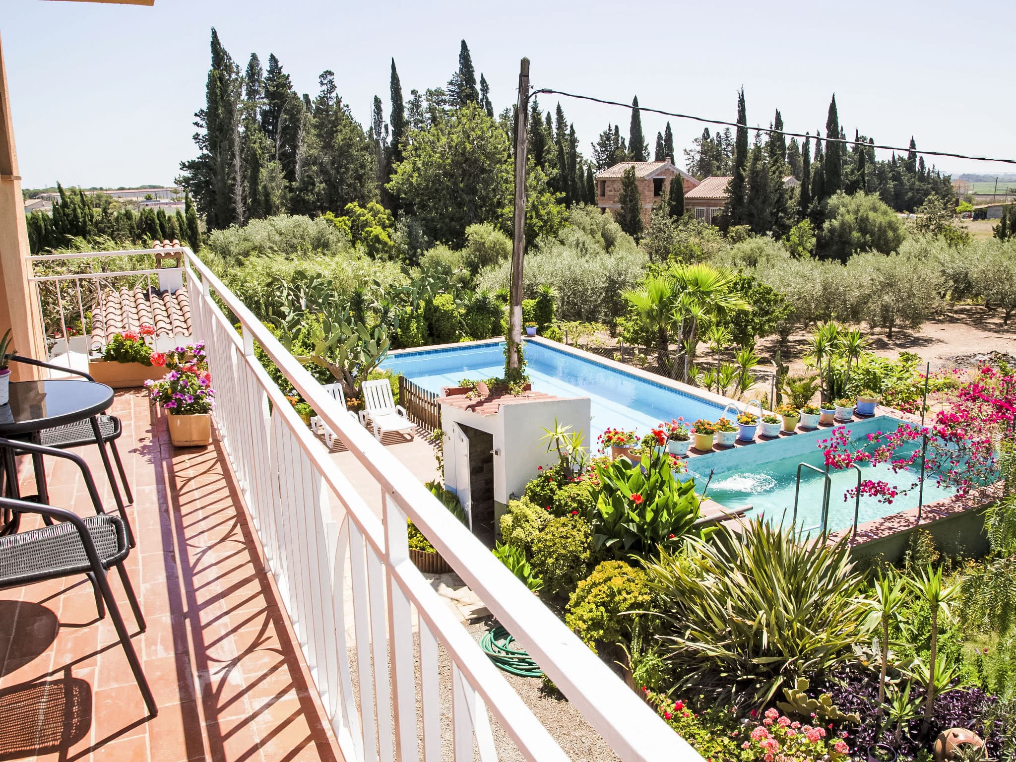Pool Outdoor