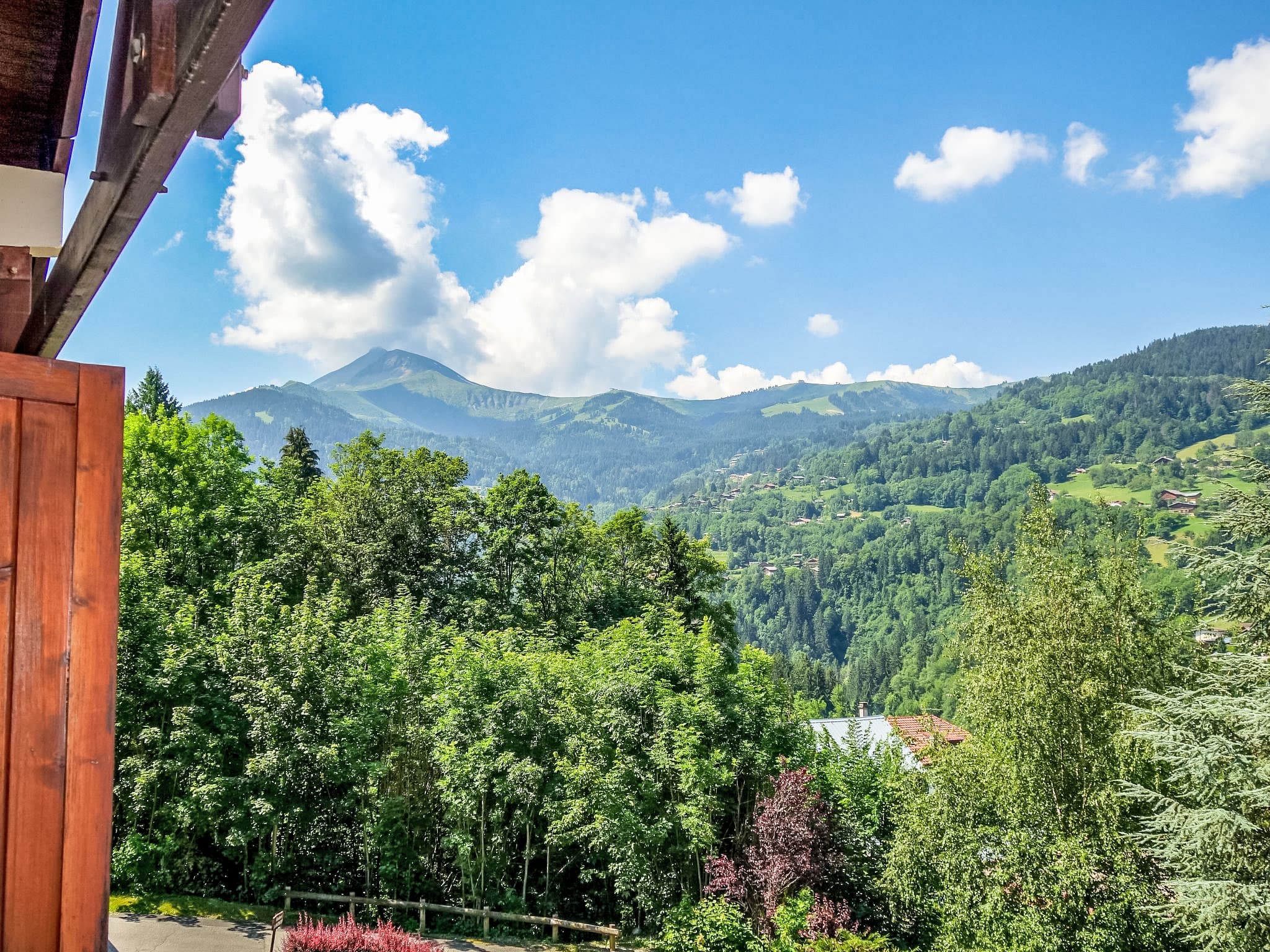 View