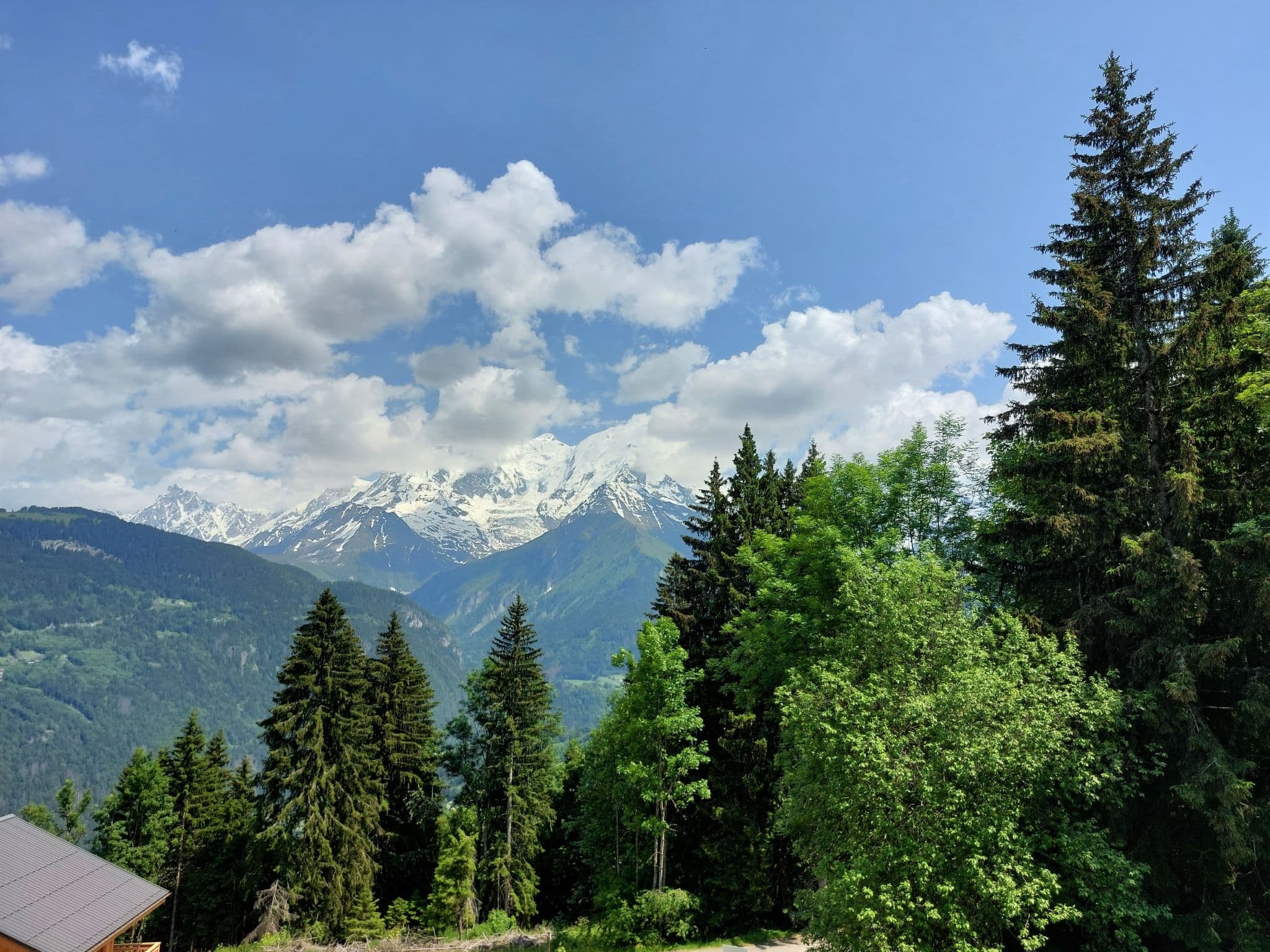 View