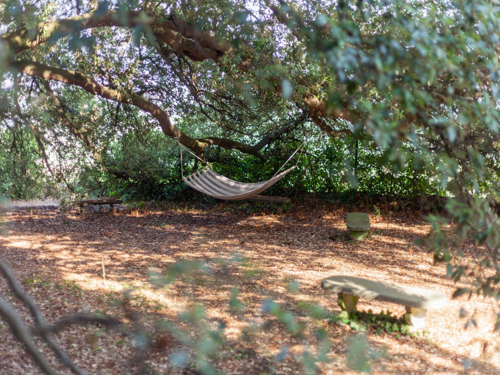 Outdoor