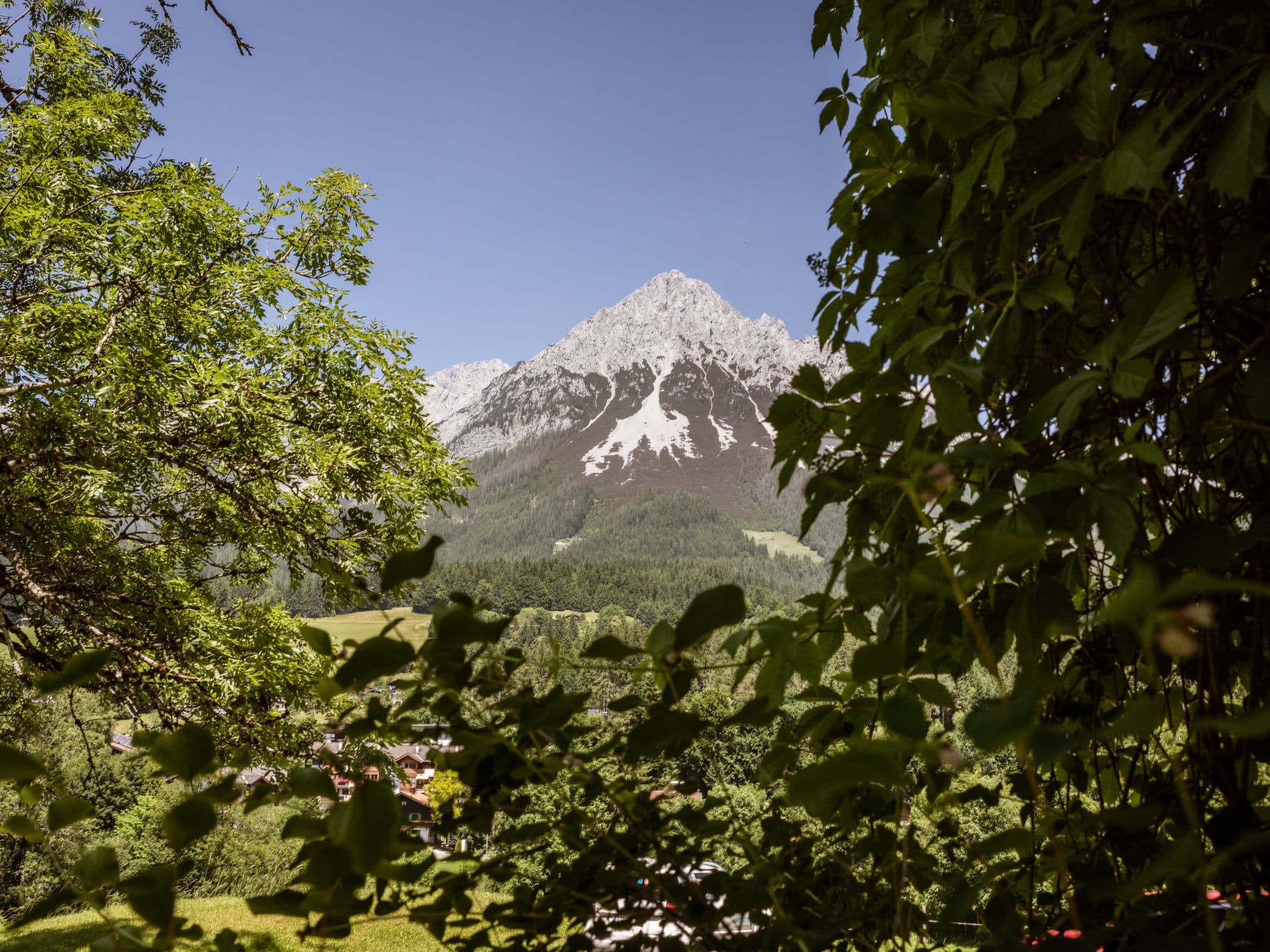 View