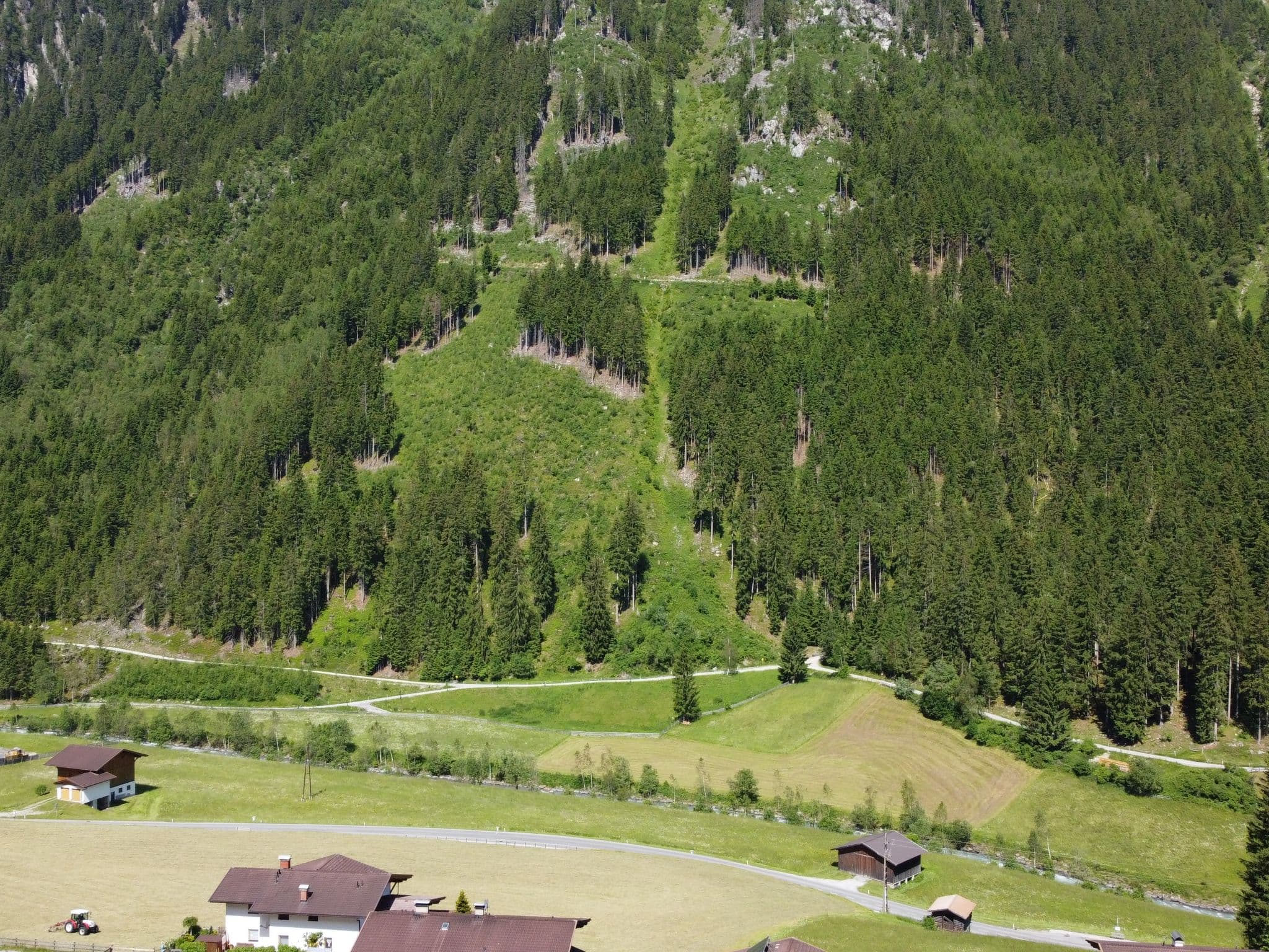 View