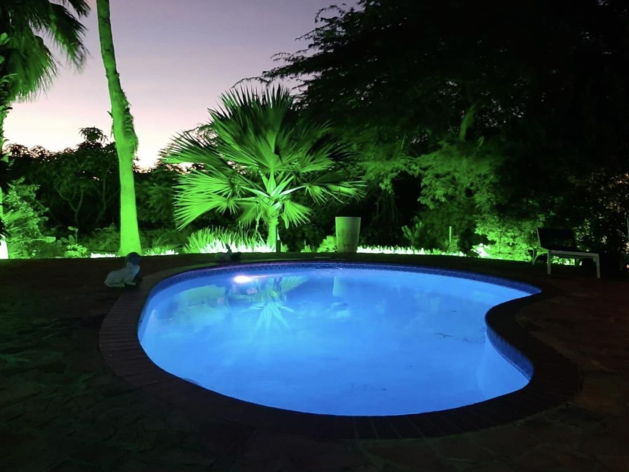 Pool Outdoor