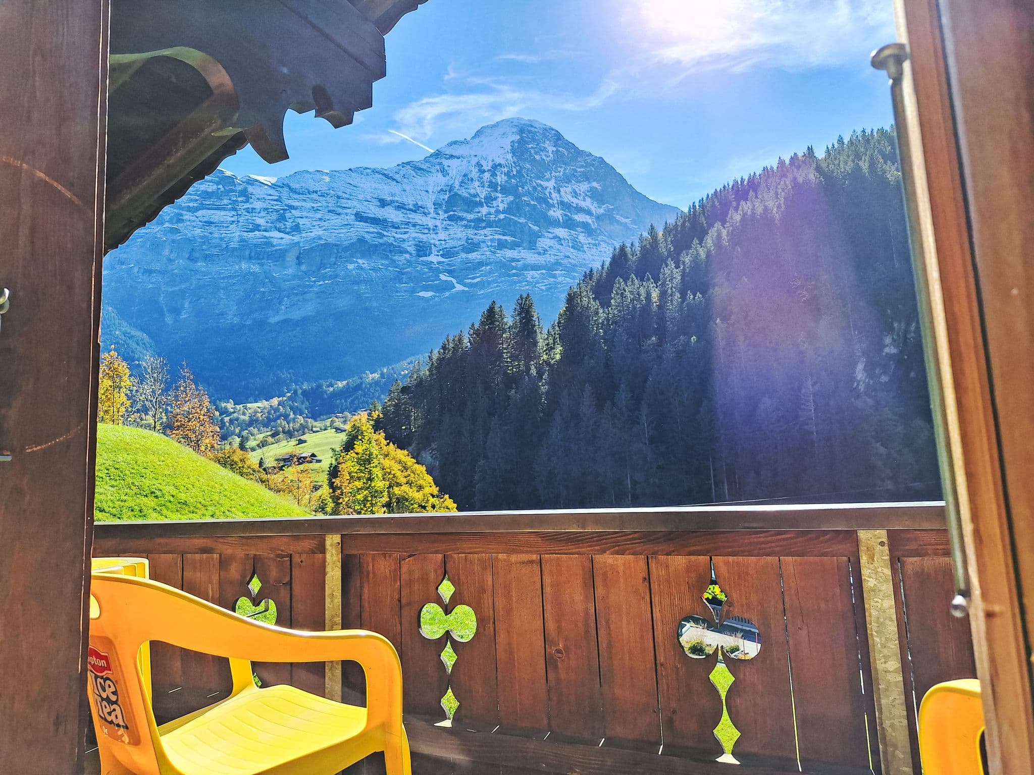 View