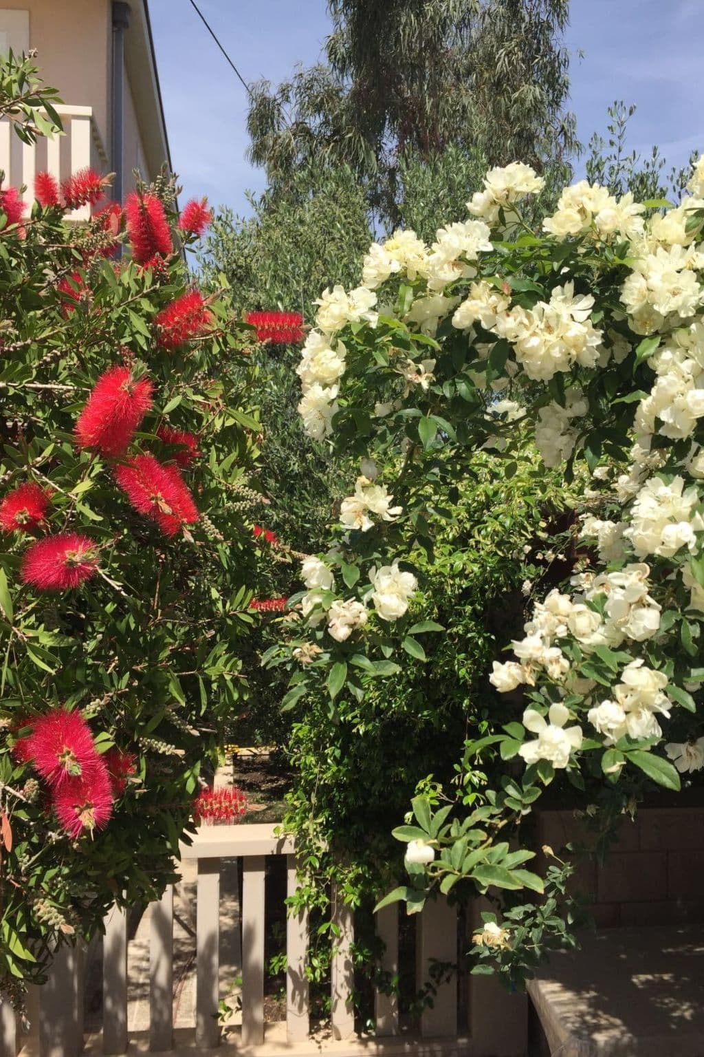 Gallery Image 22