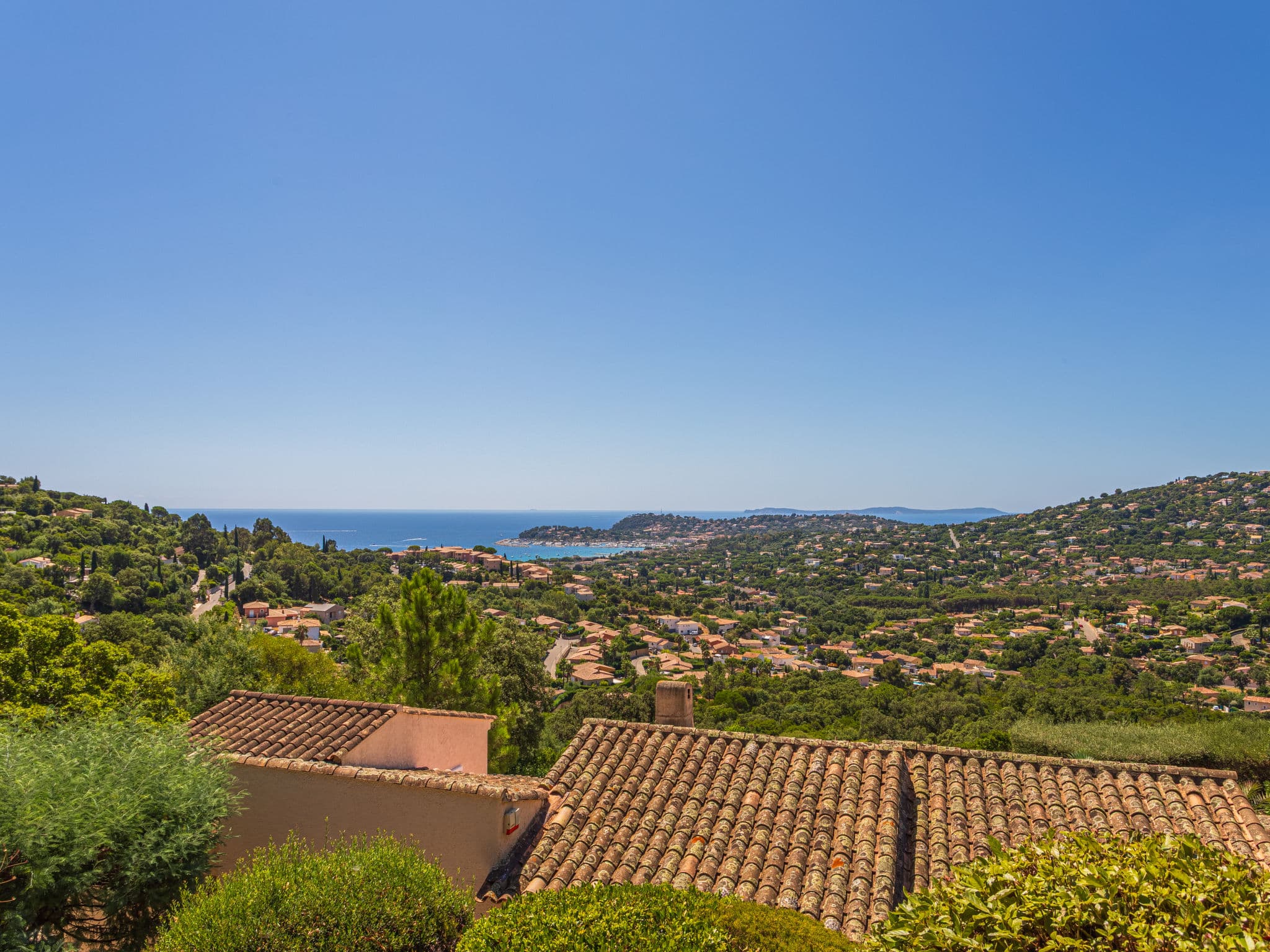 View