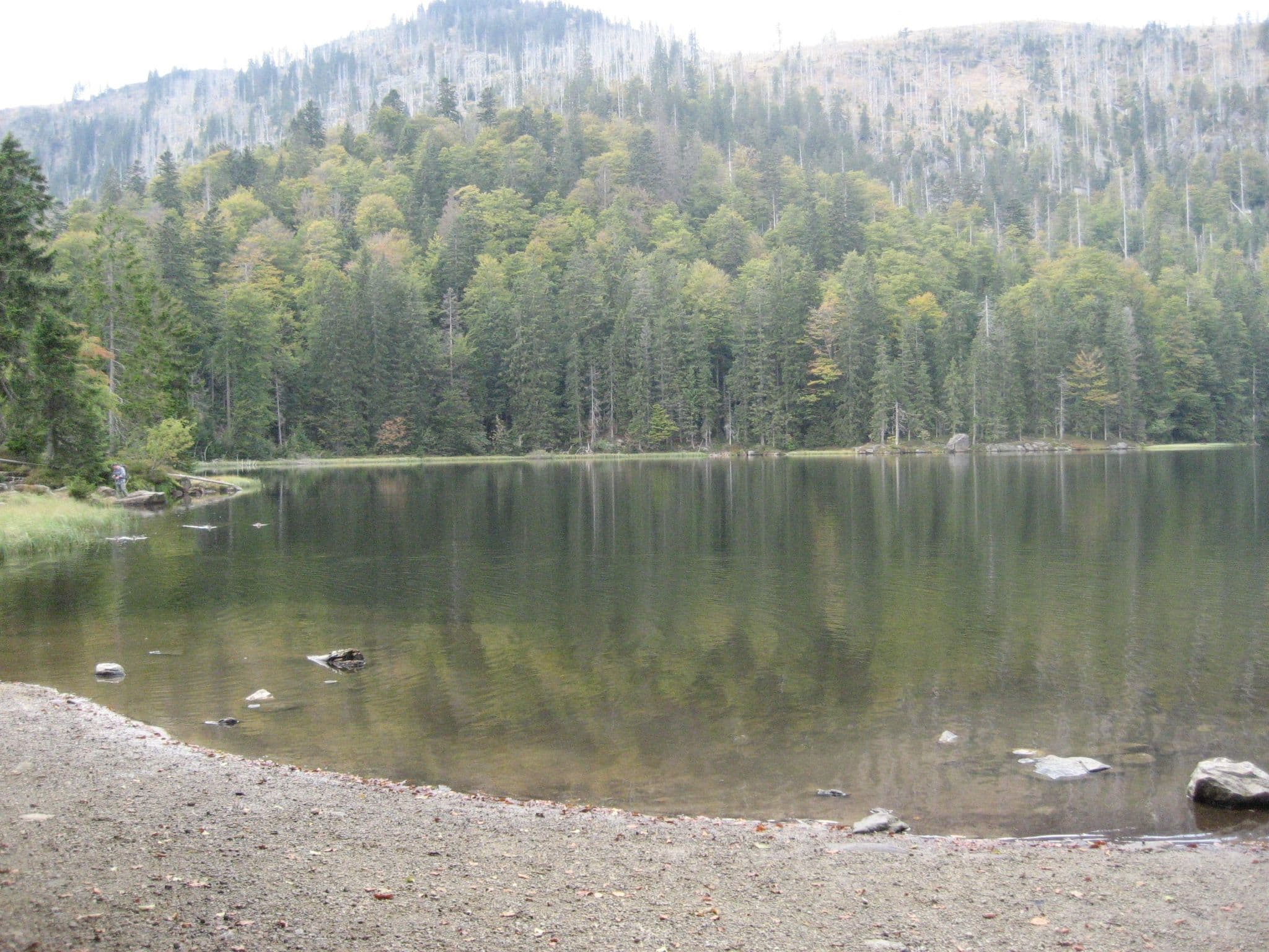 Gallery Image 14