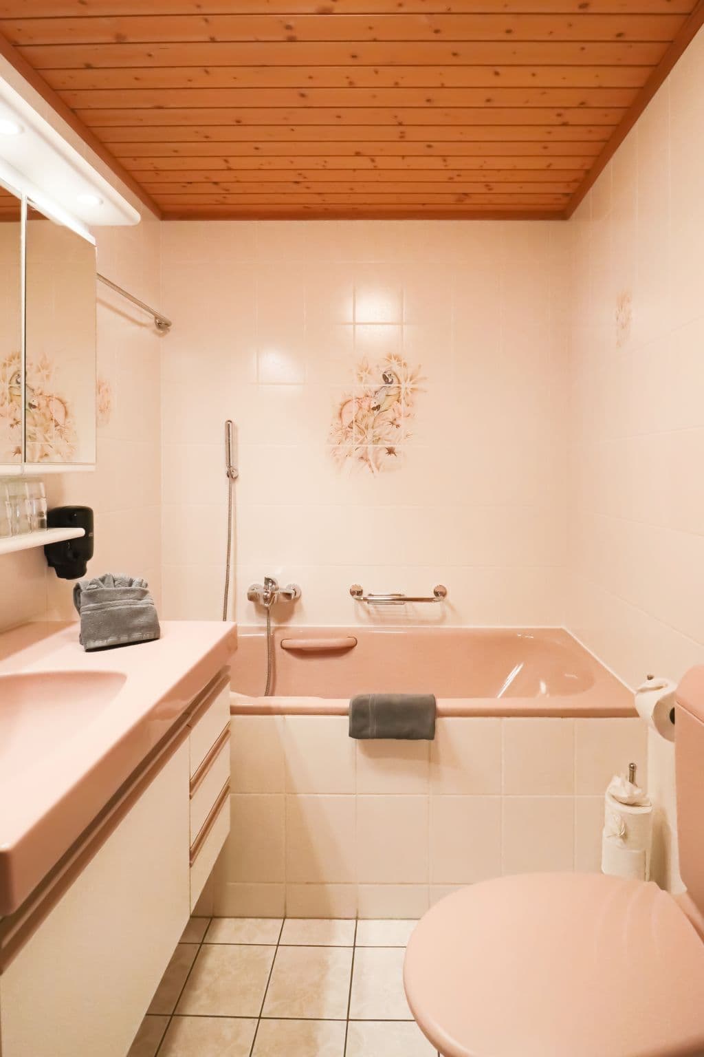 Bathroom / Wellness