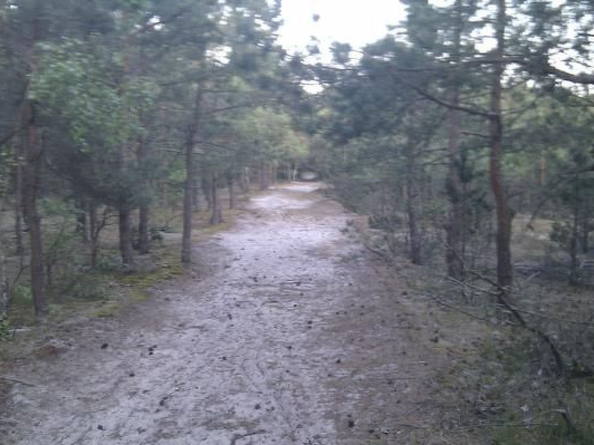 Gallery Image 22