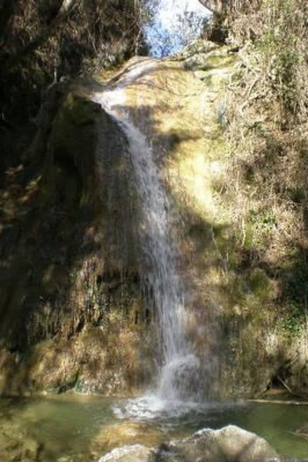 Gallery Image 25