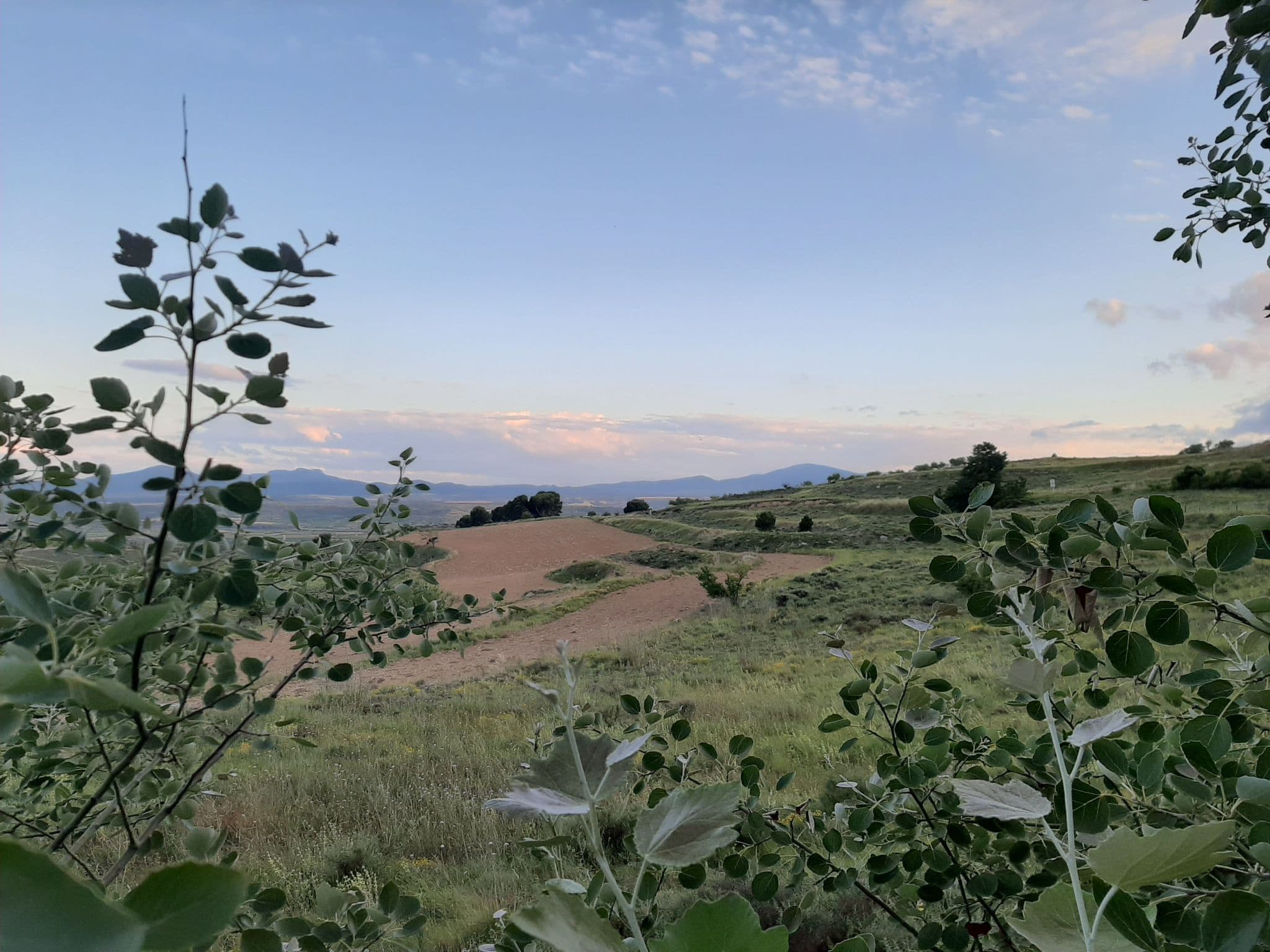 View