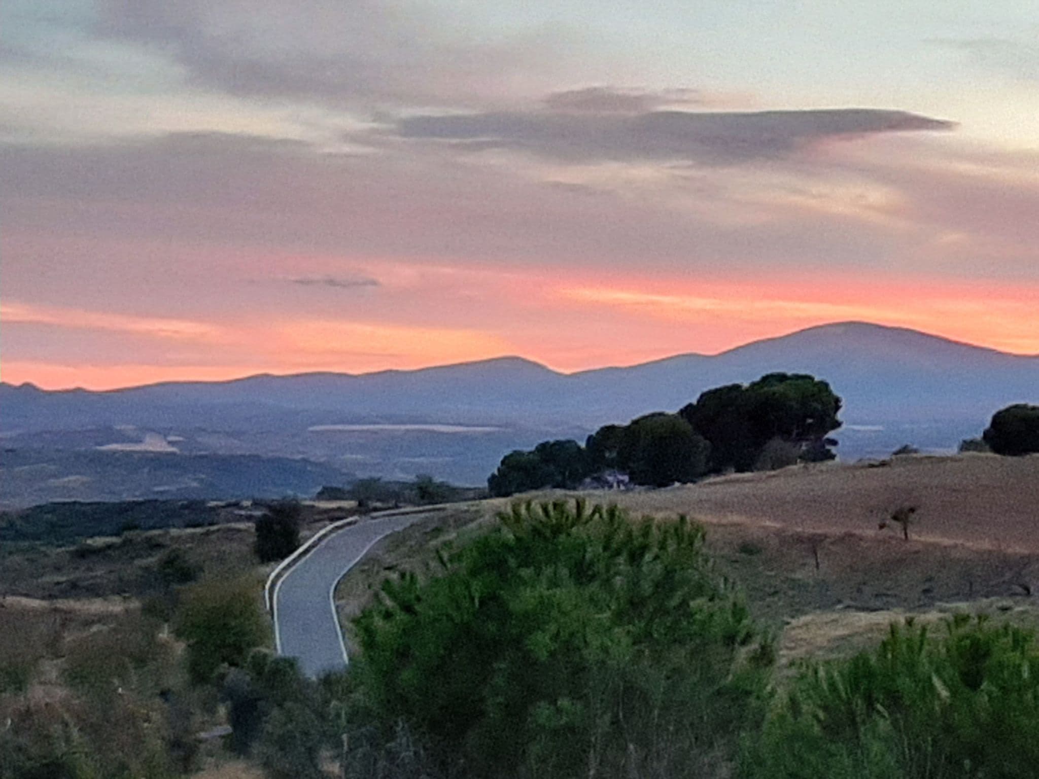 View