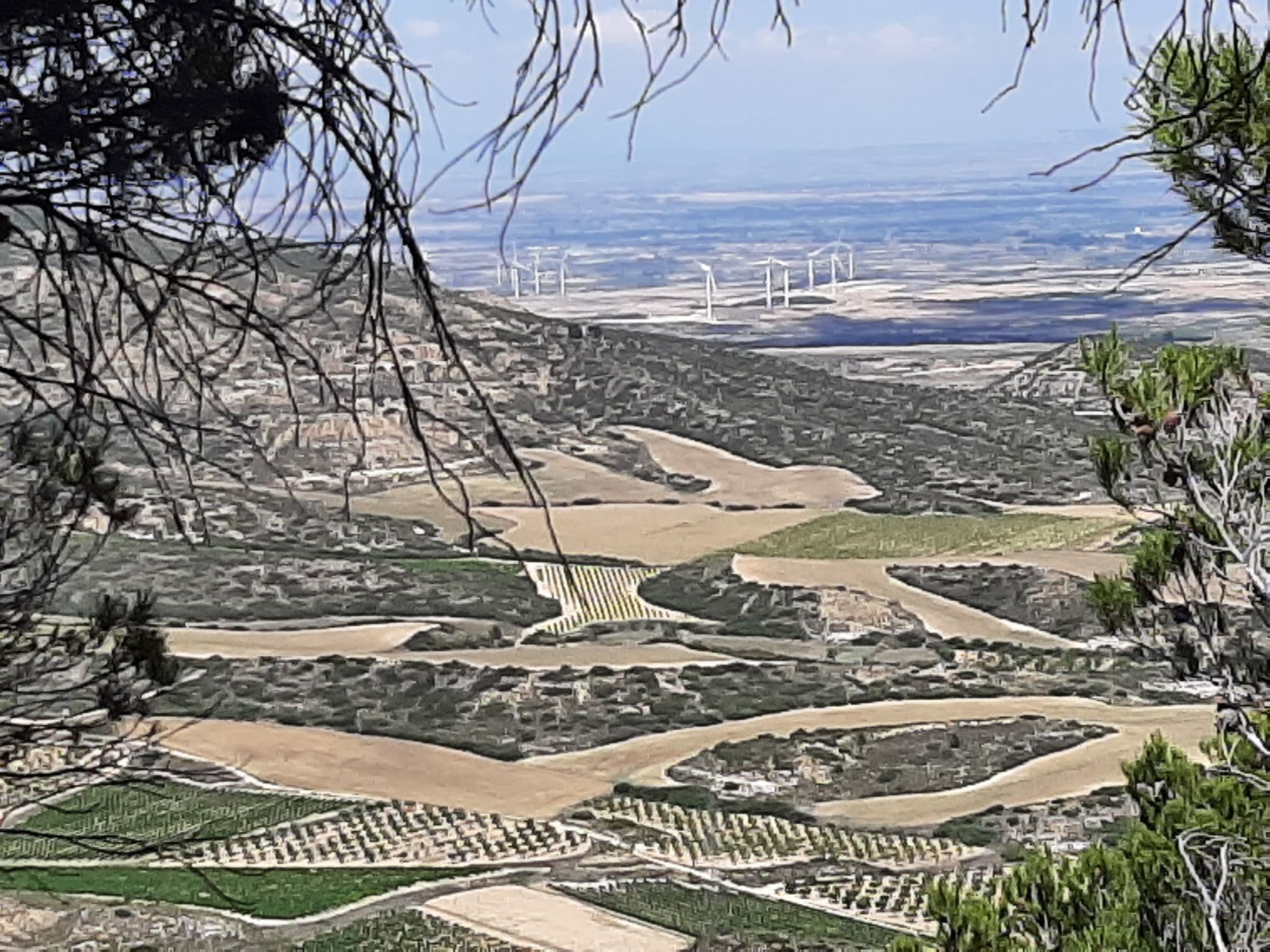 View