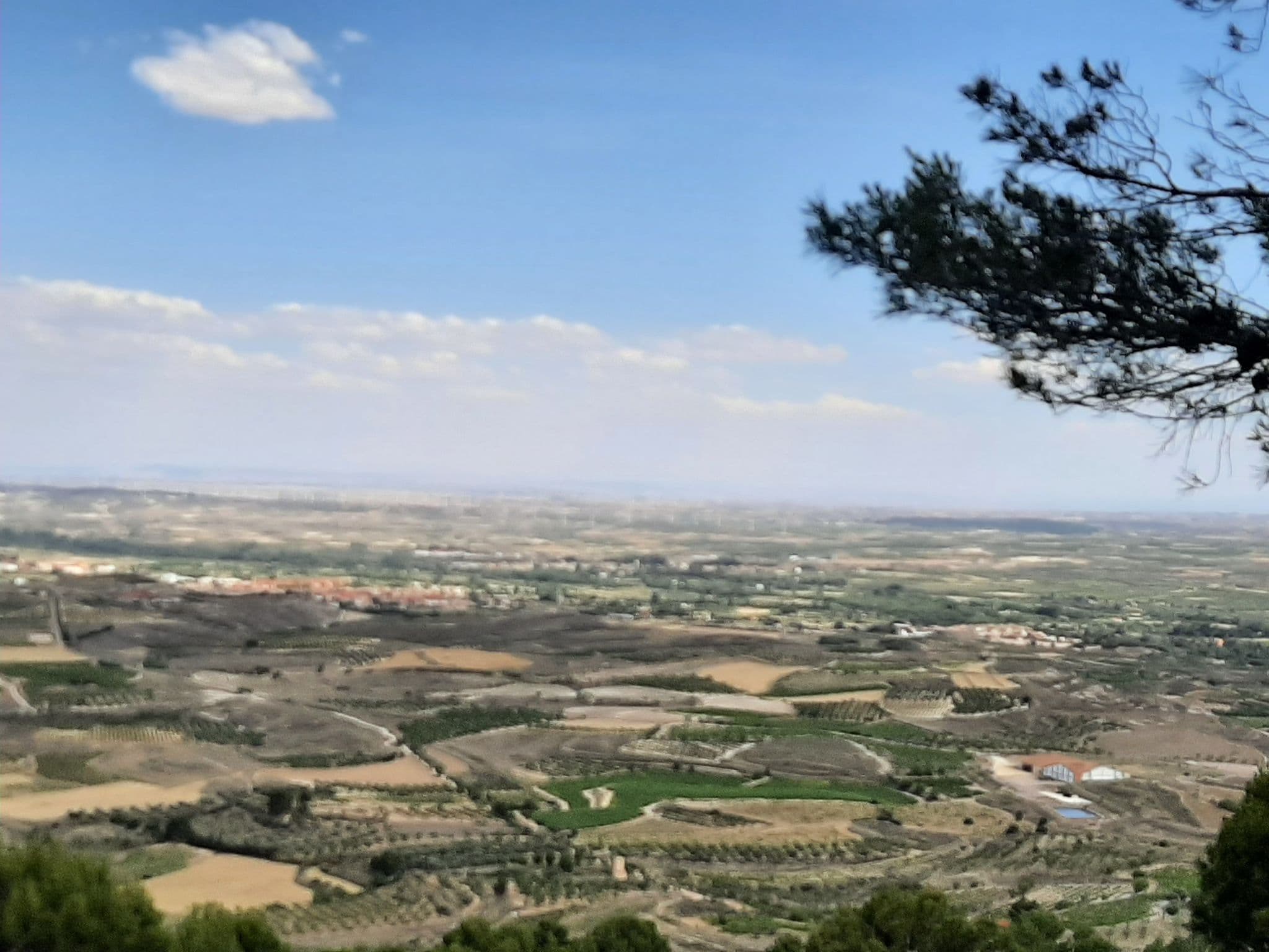 View