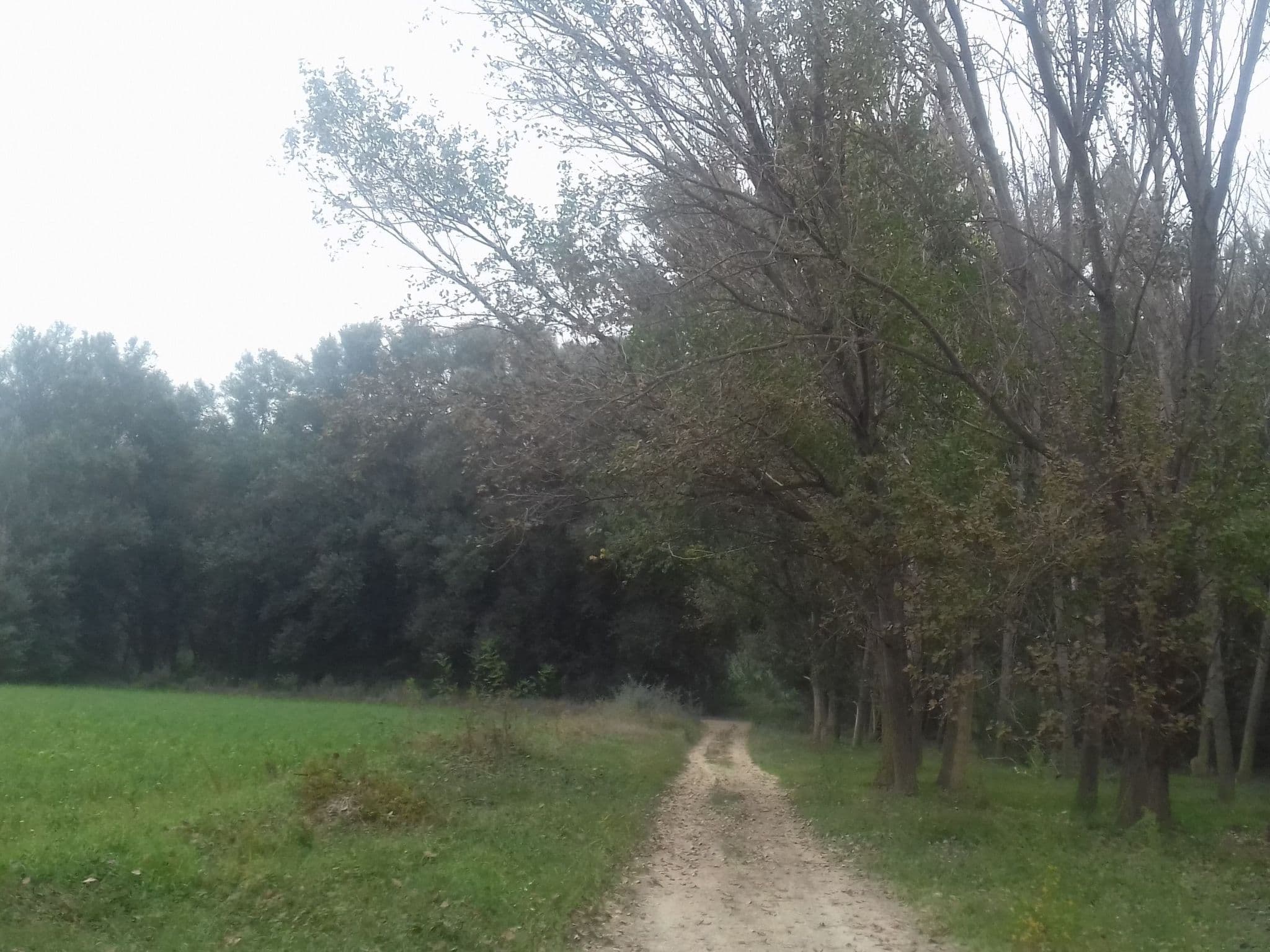 Gallery Image 27