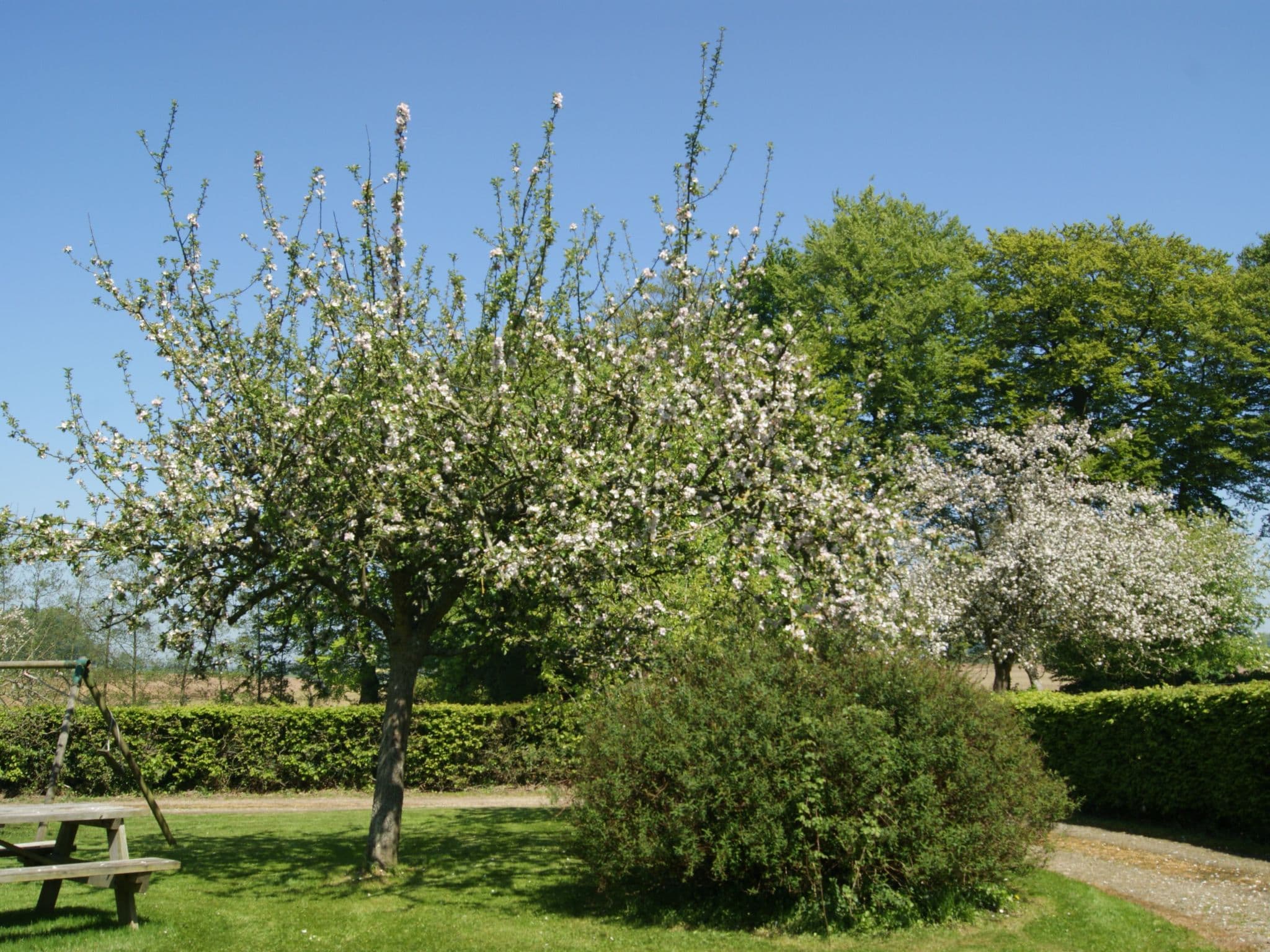 Gallery Image 23