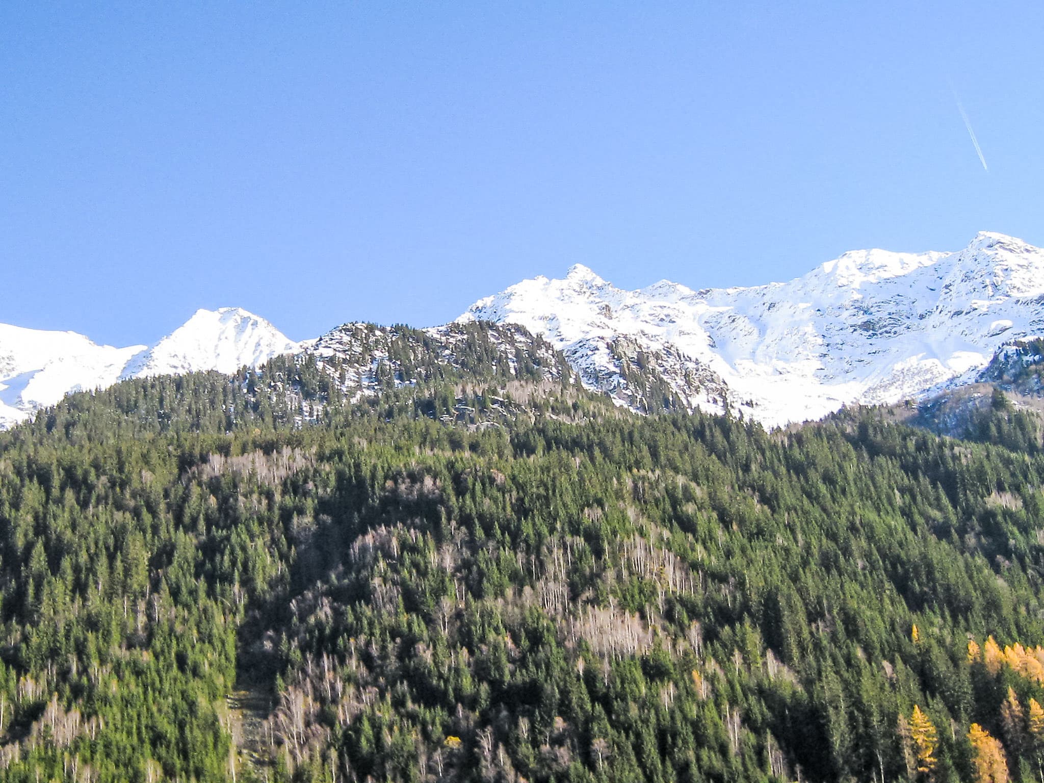 View