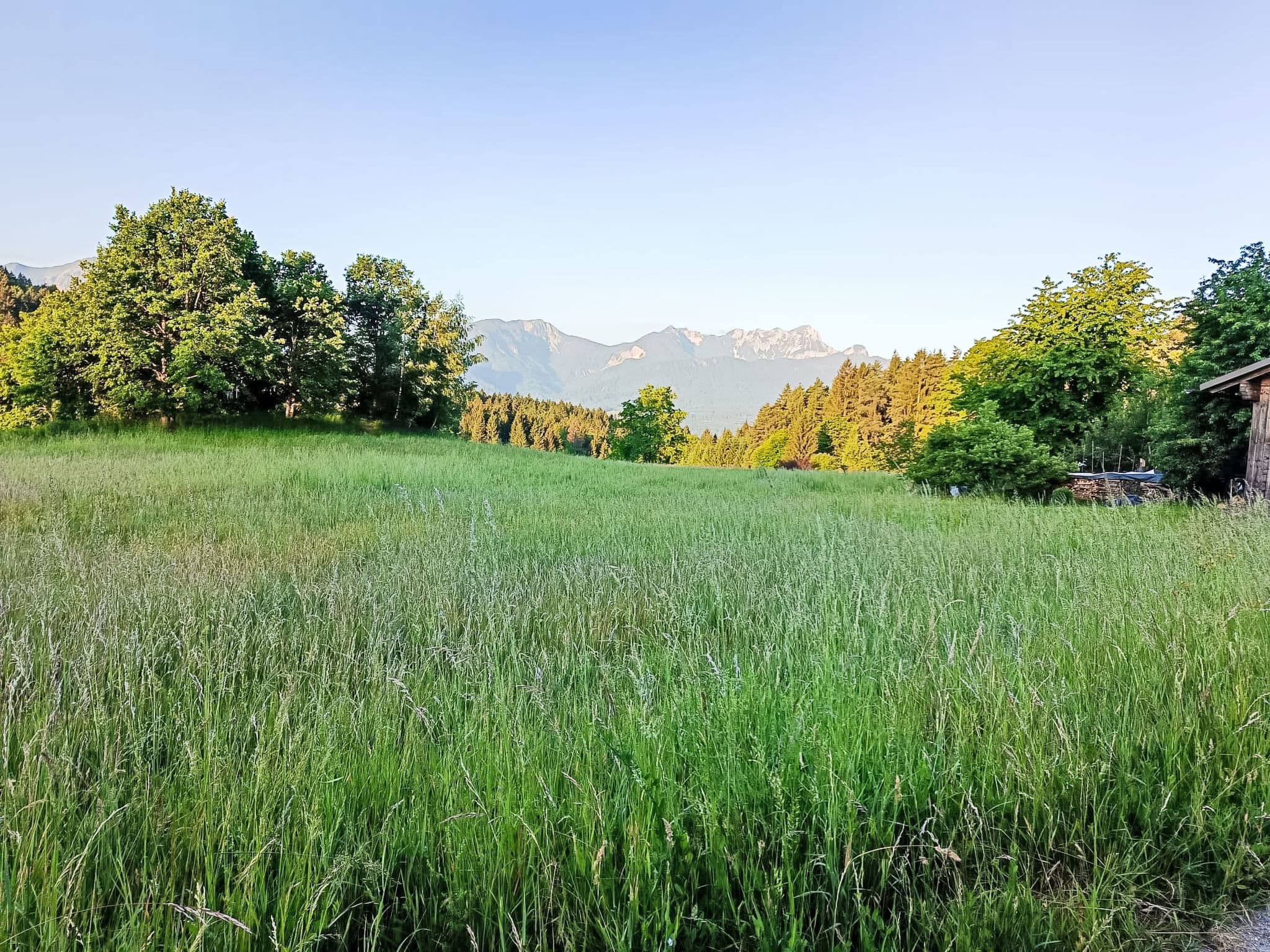 View