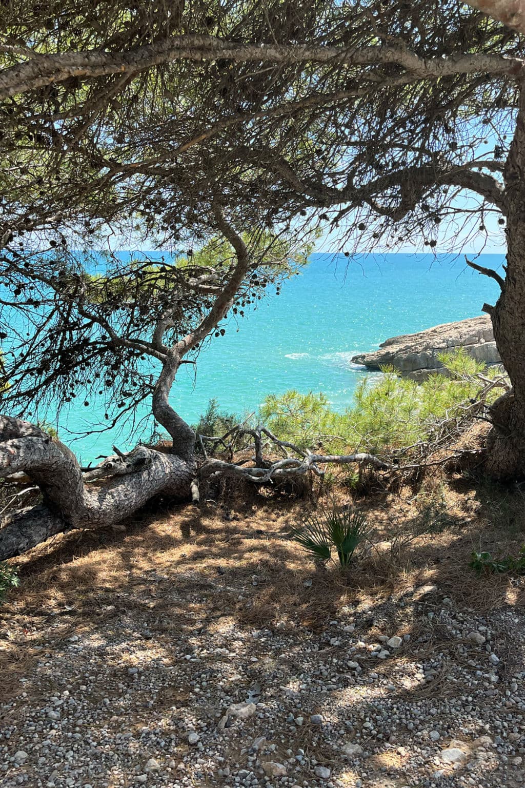 View
