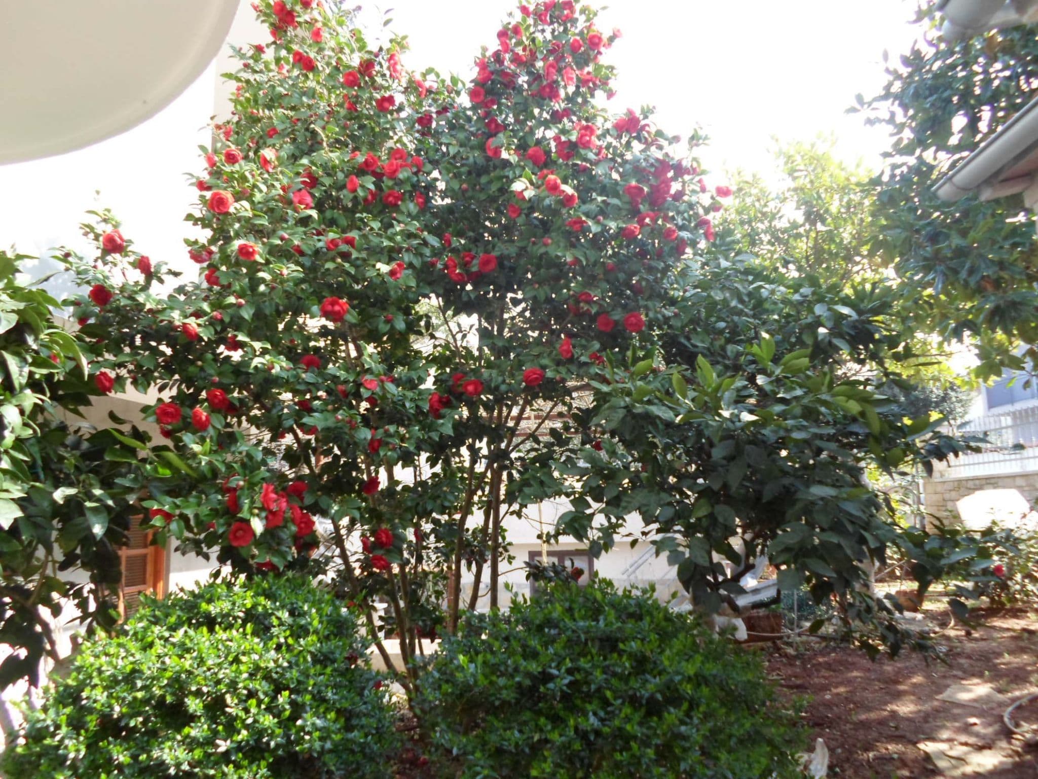 Gallery Image 13