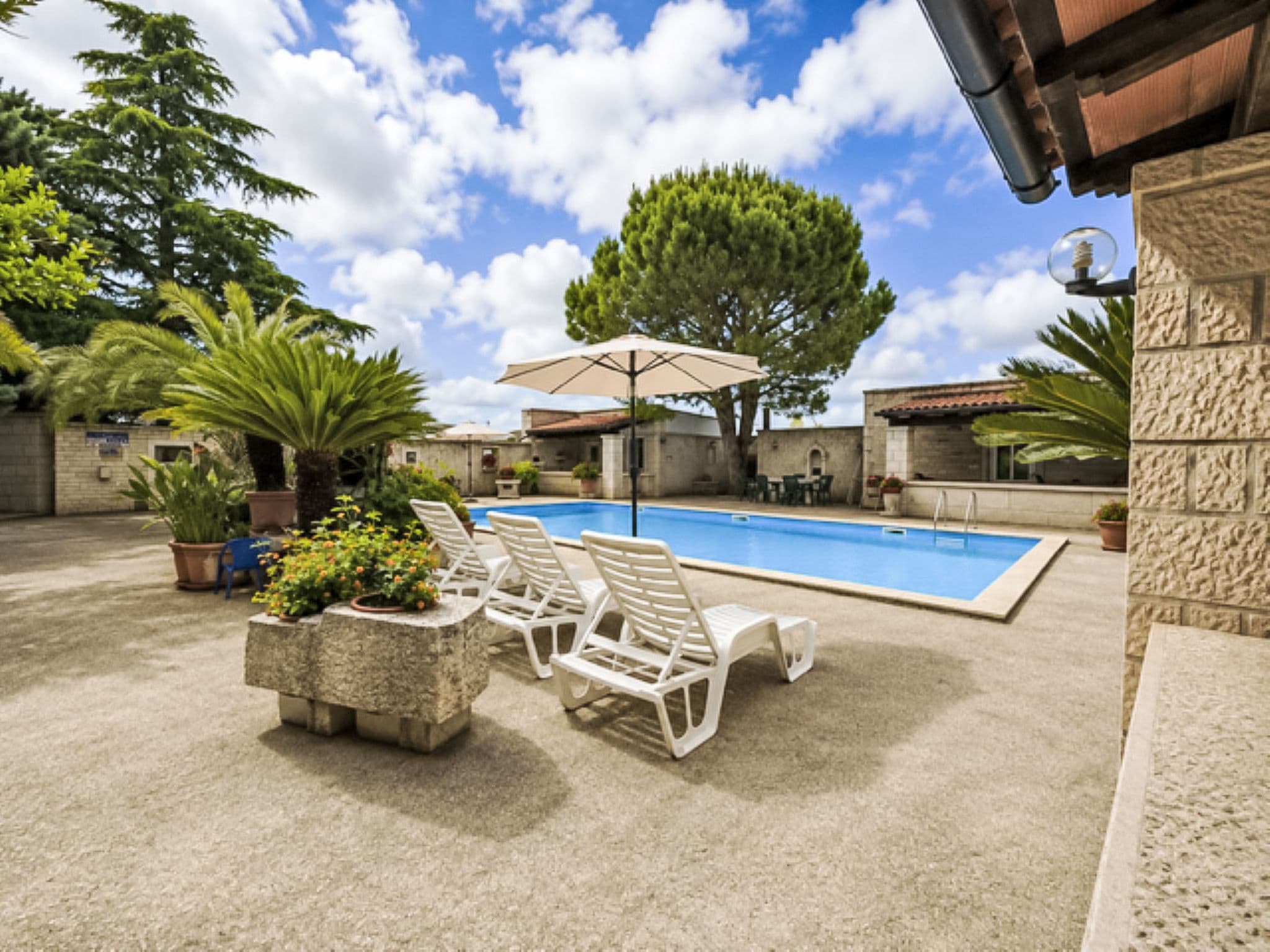 Pool Outdoor