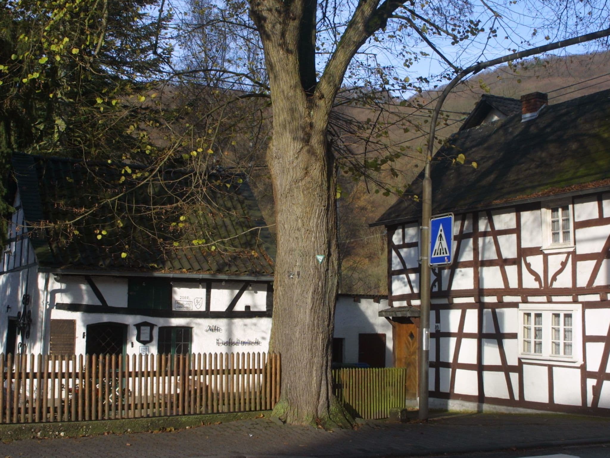 Gallery Image 23
