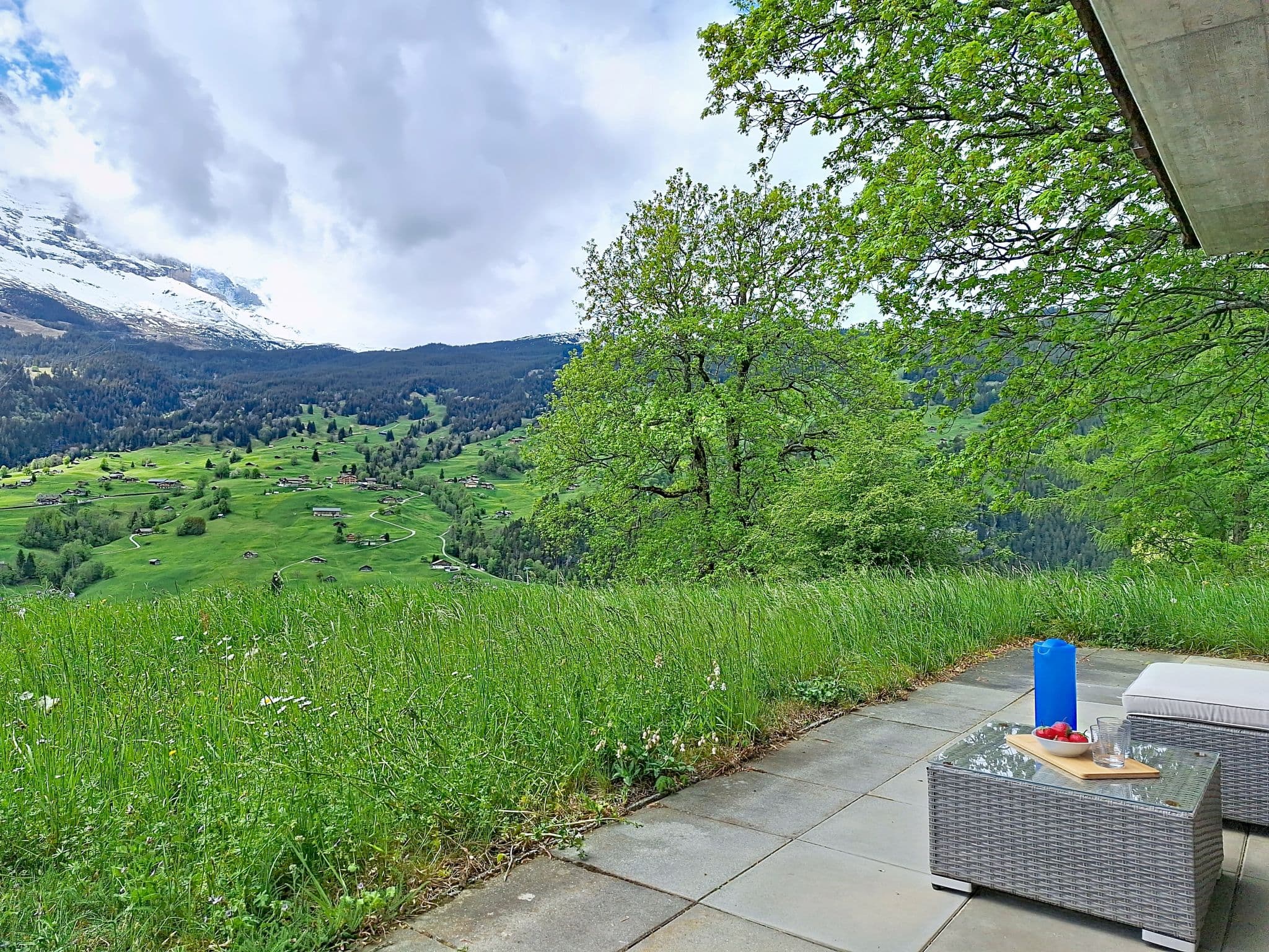 View