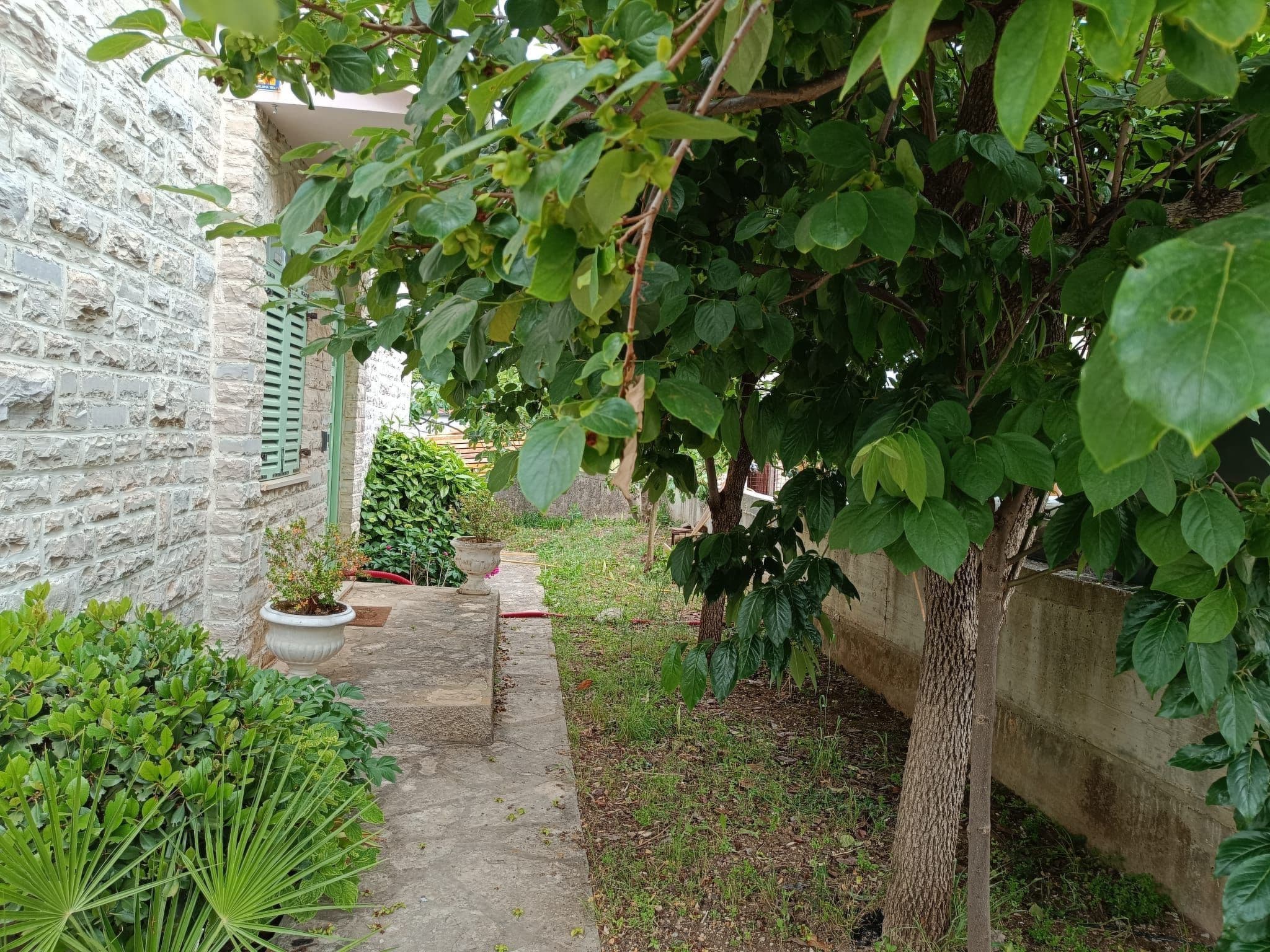 Gallery Image 16