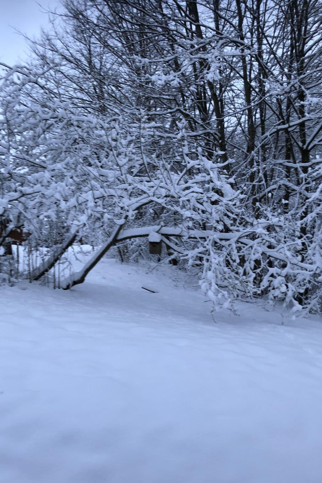 Gallery Image 49