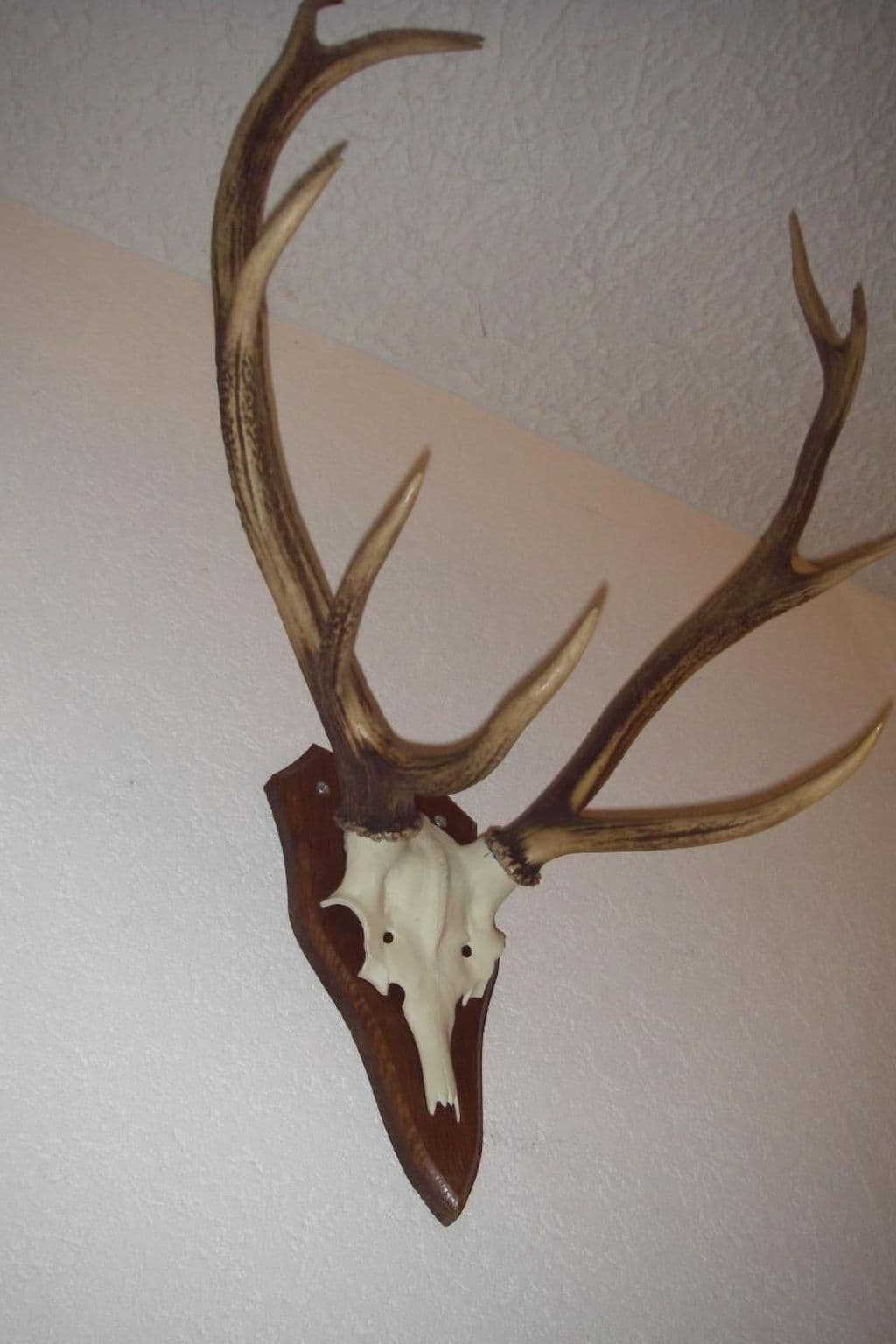 Gallery Image 13