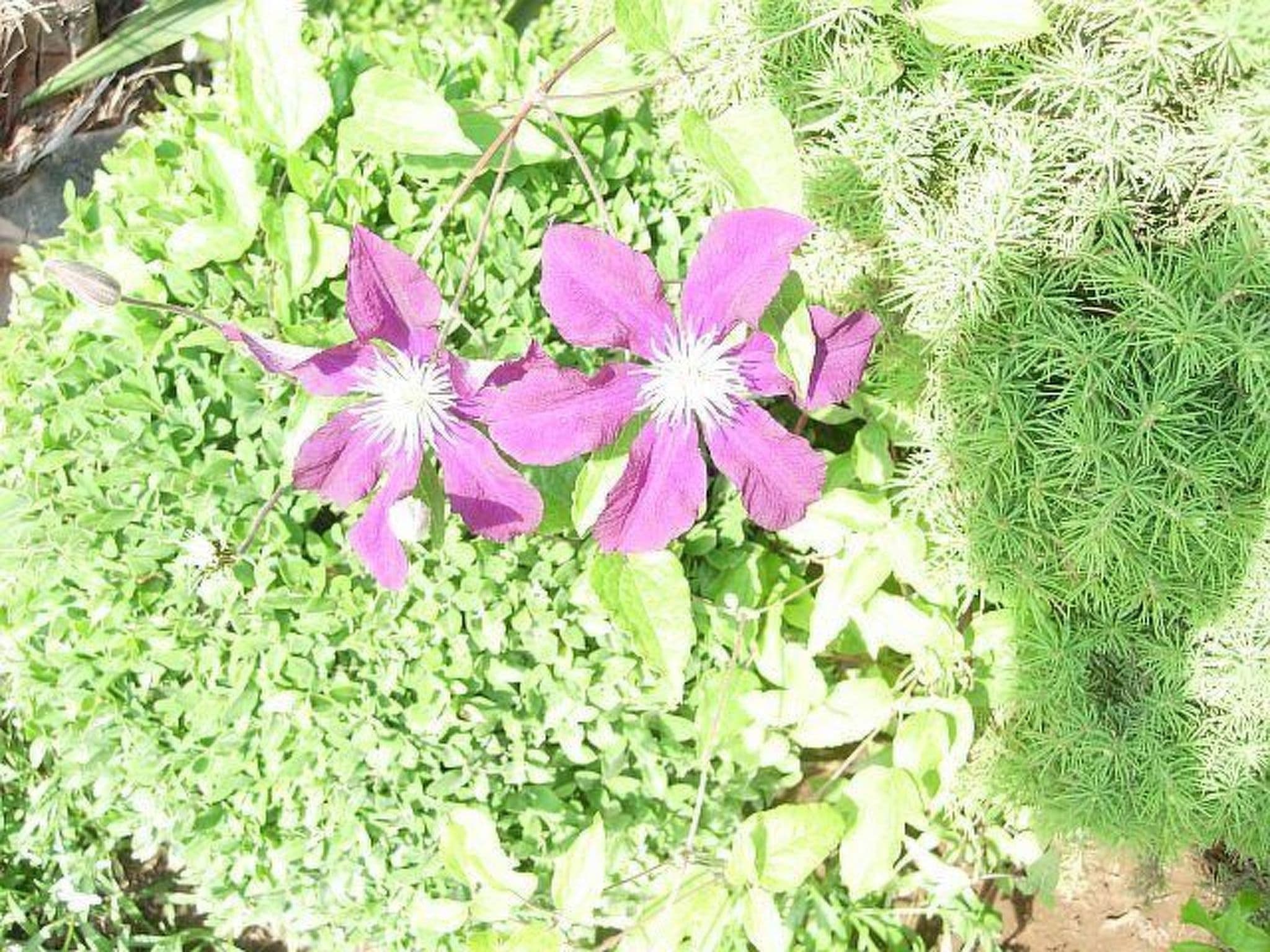 Gallery Image 27