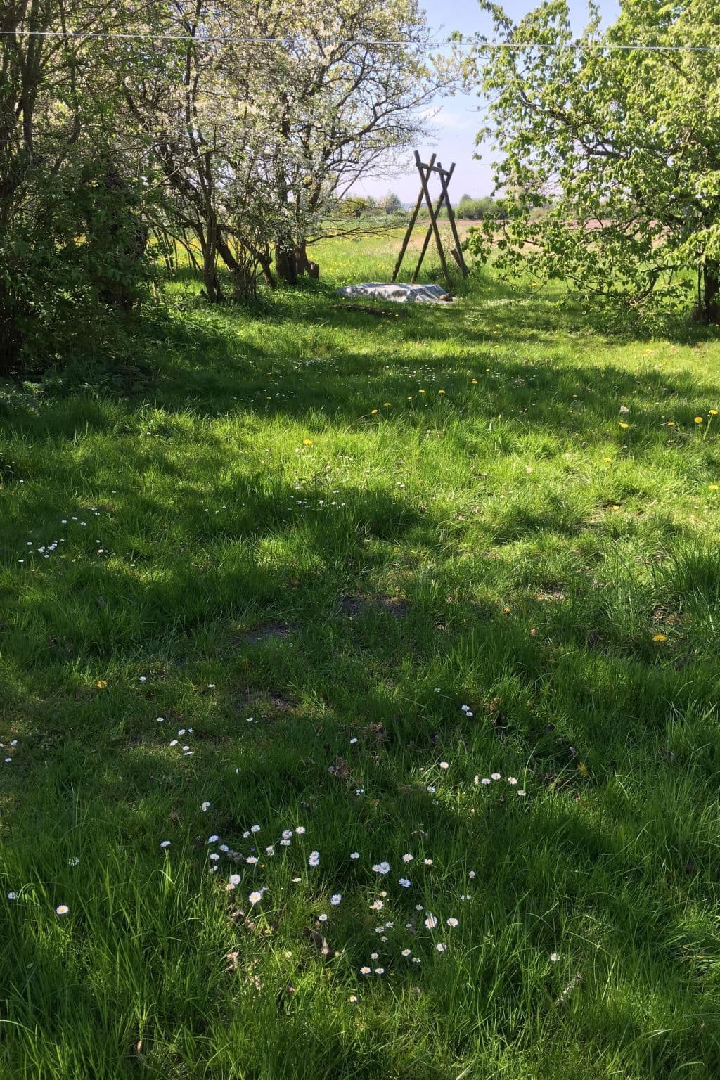 Gallery Image 21