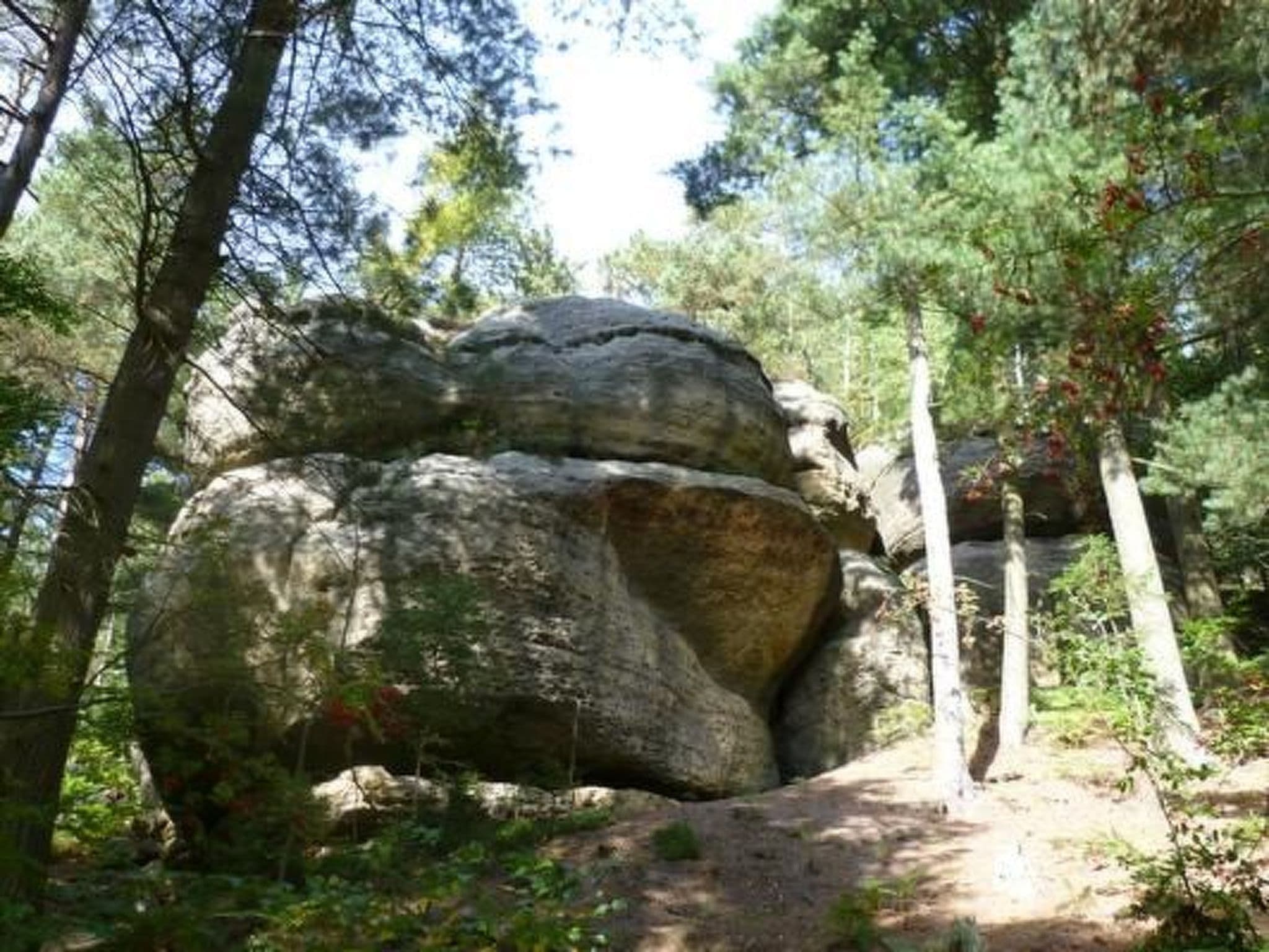 Gallery Image 18