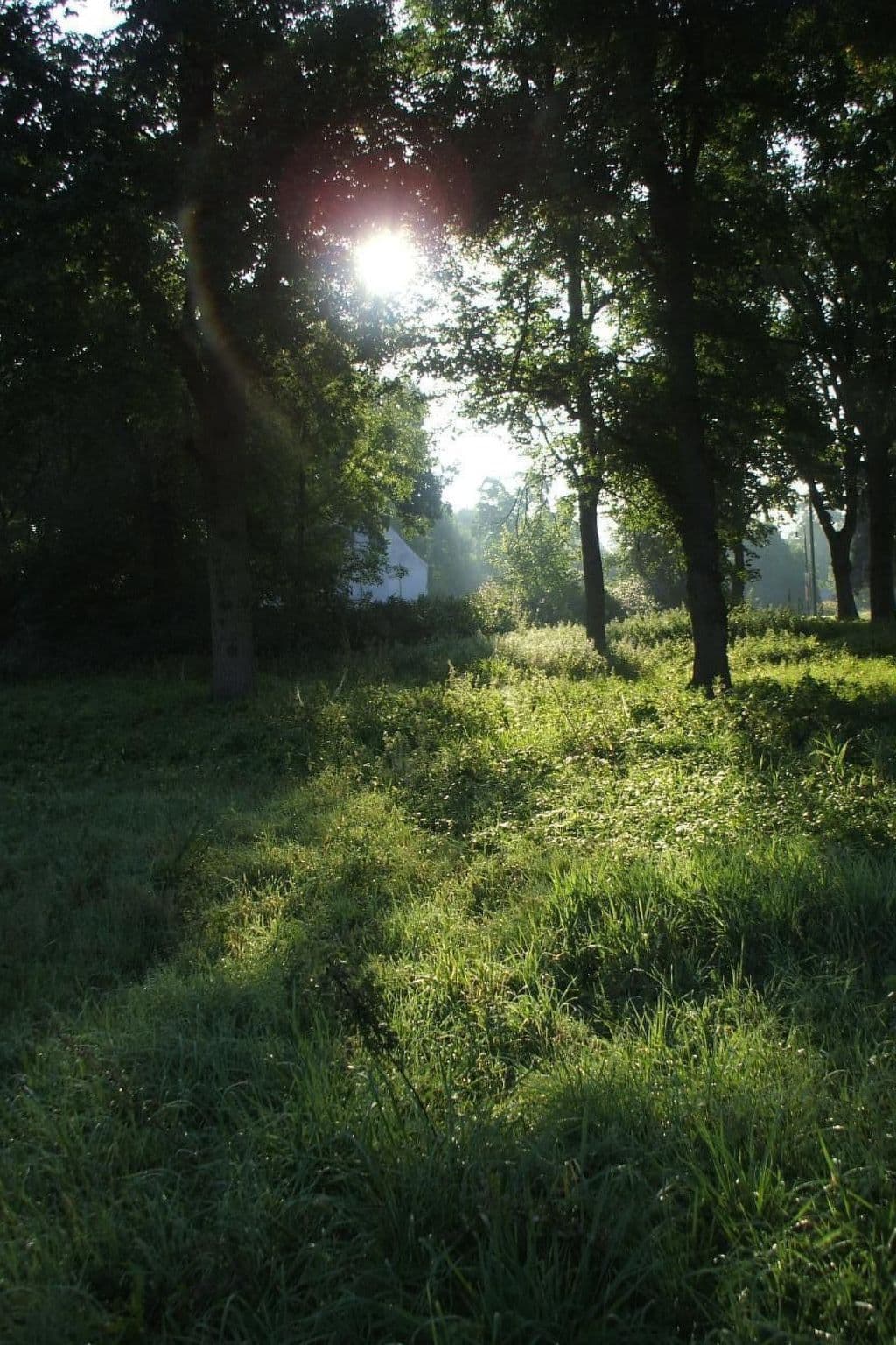 Gallery Image 22